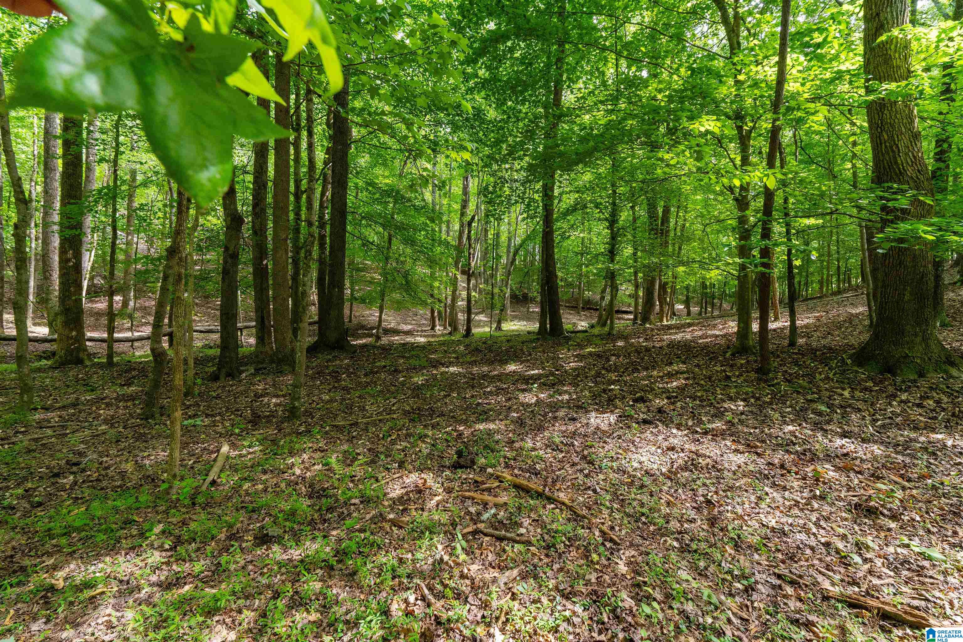 1435 COUNTY ROAD 633