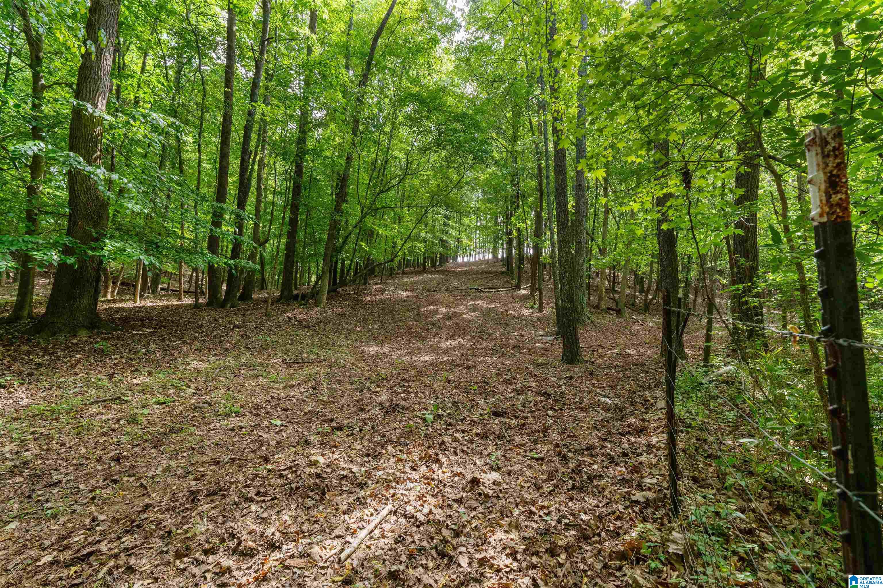 1435 COUNTY ROAD 633