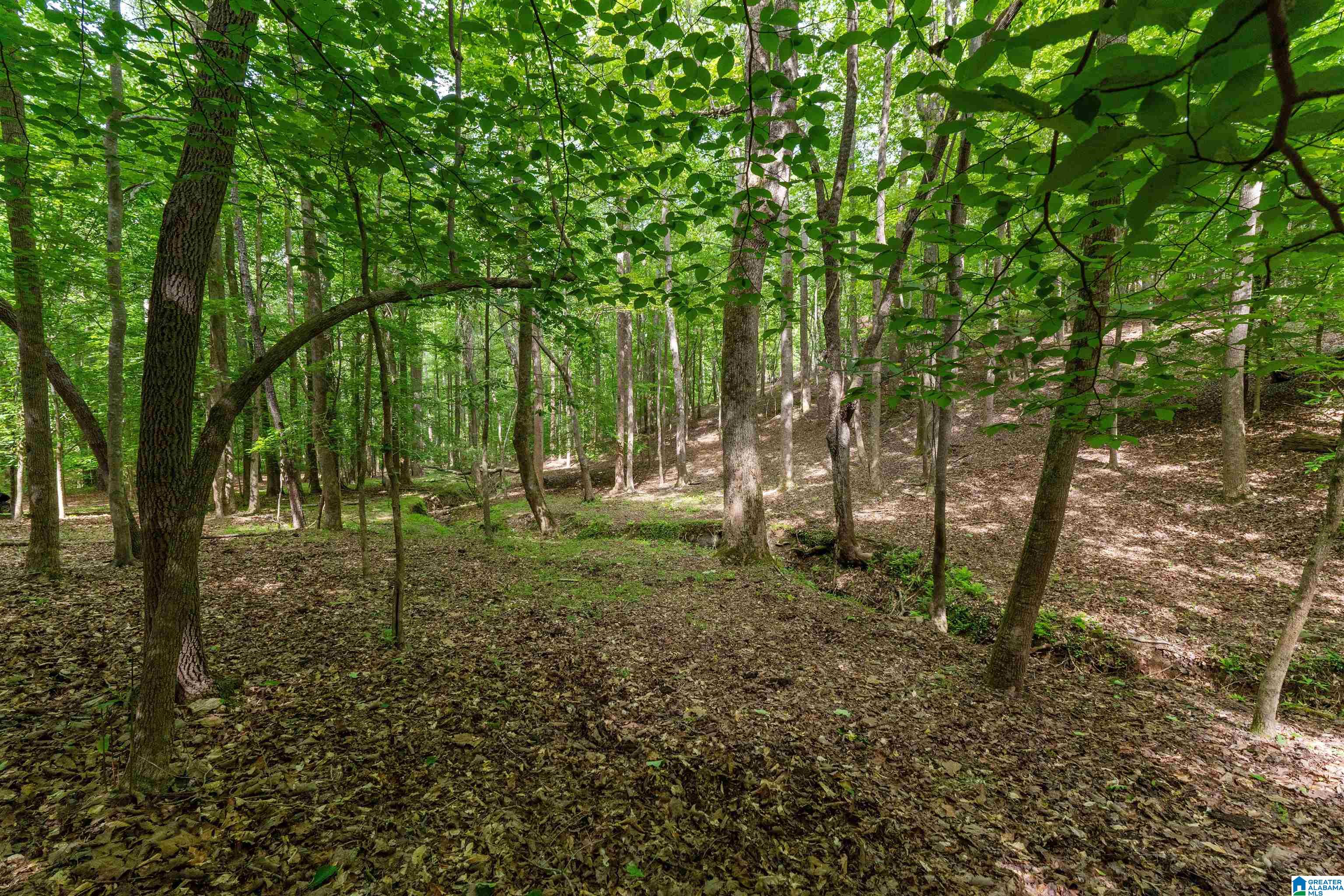1435 COUNTY ROAD 633