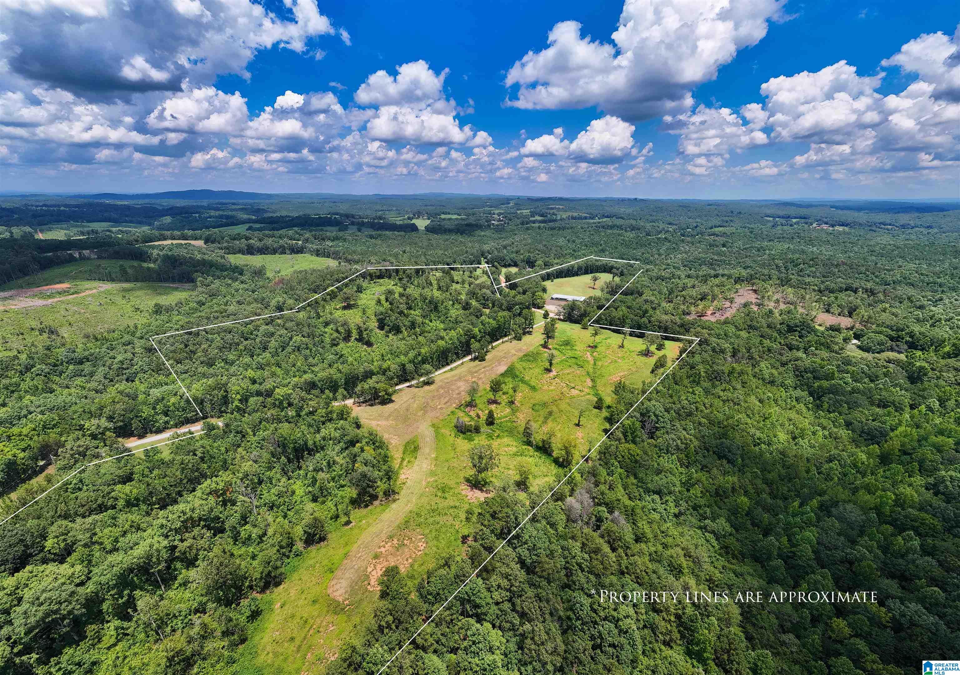 1310 COUNTY ROAD 269