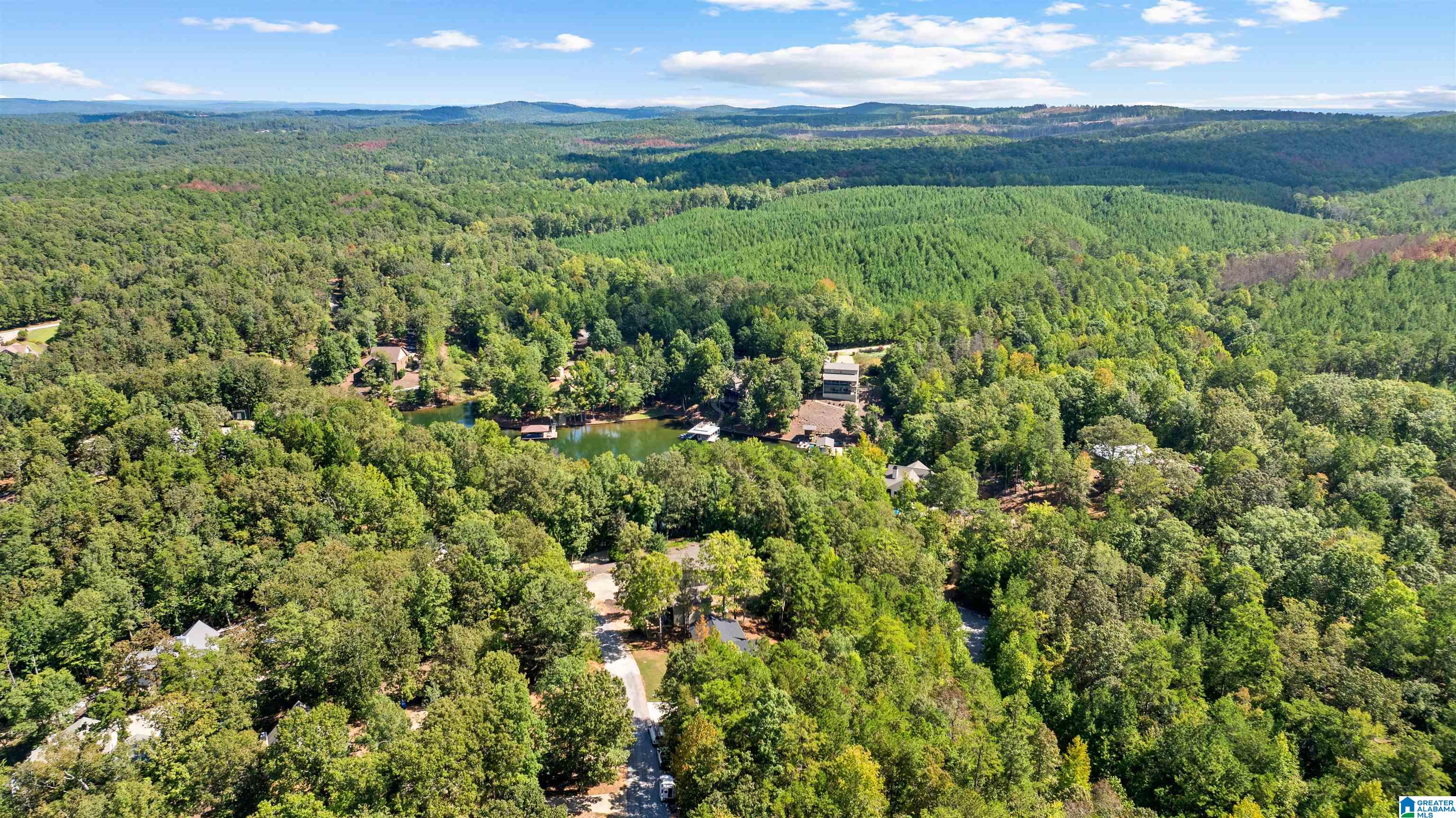 88 DOGWOOD RIDGE N