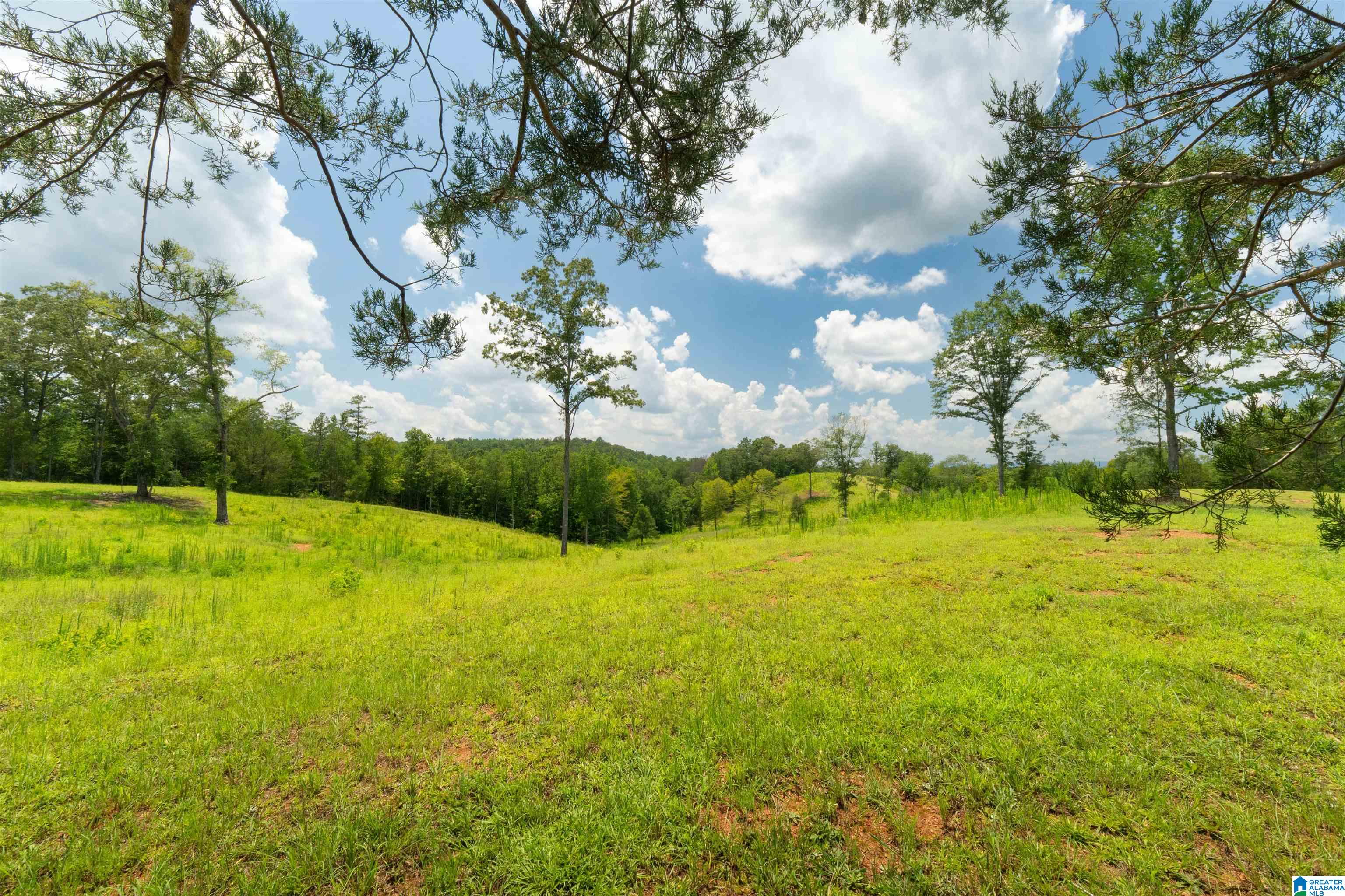 8.19 A WOODGATE SHORES DRIVE