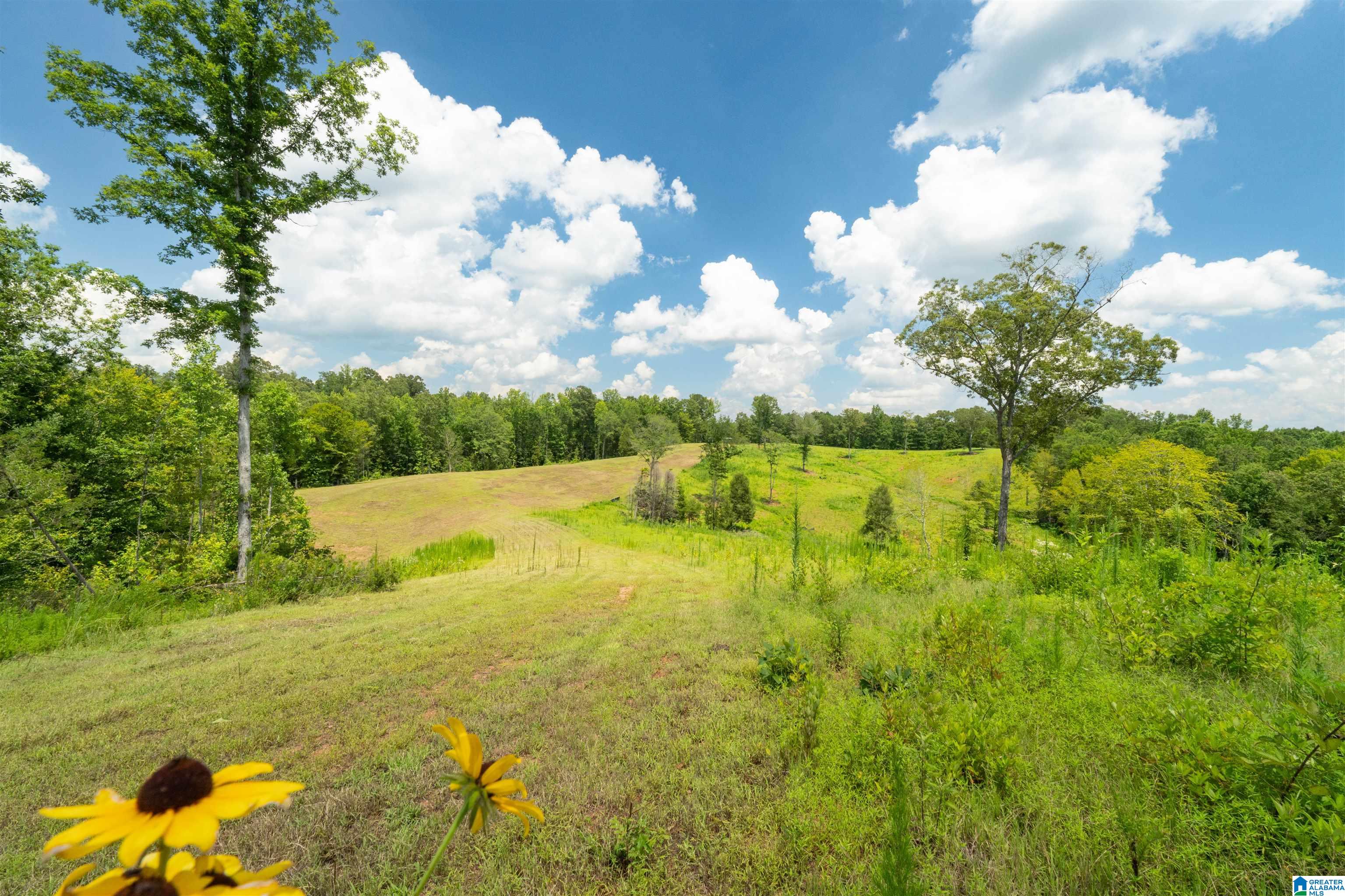 14.80 A COUNTY ROAD 269