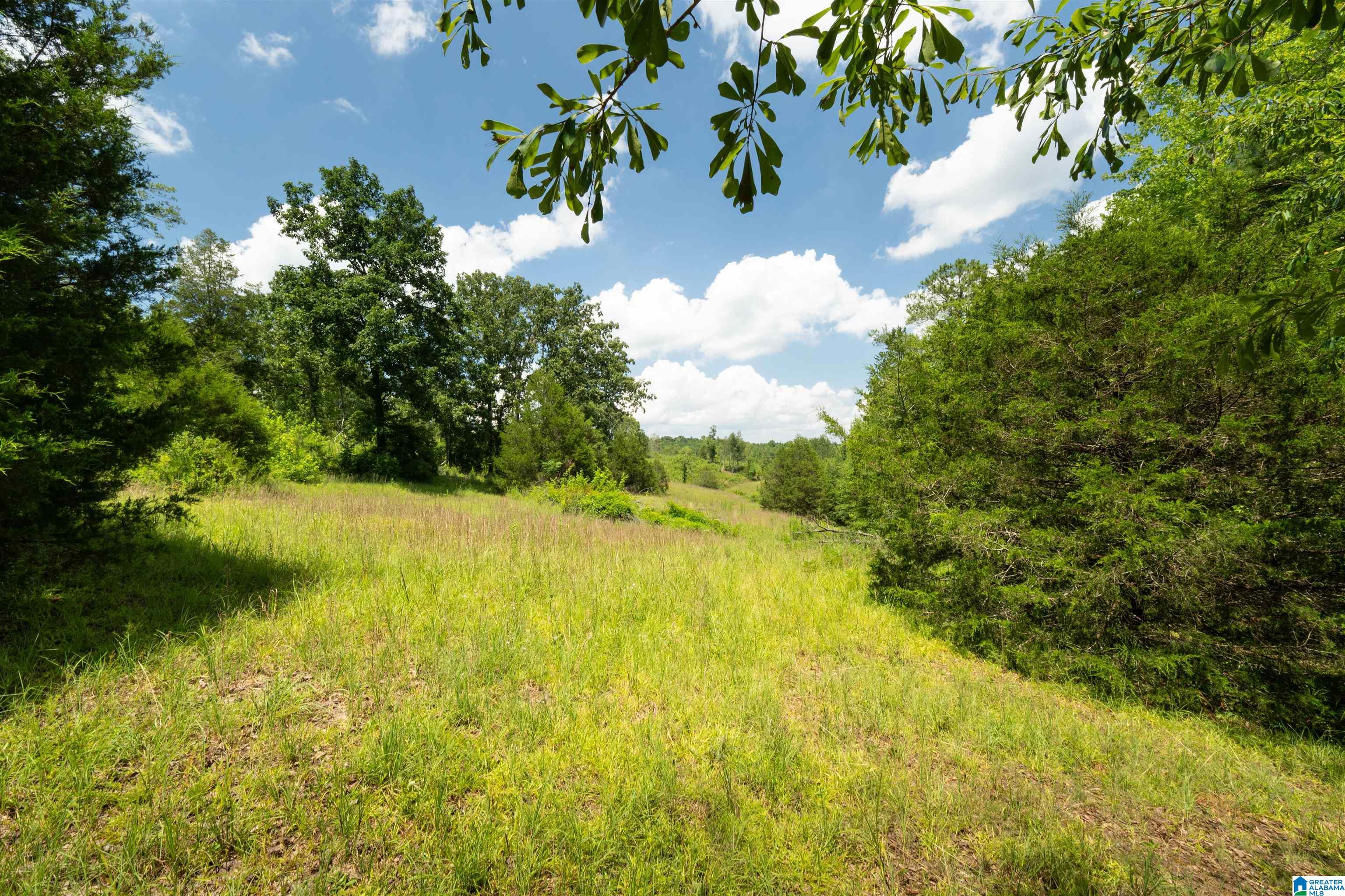 14.80 B COUNTY ROAD 269