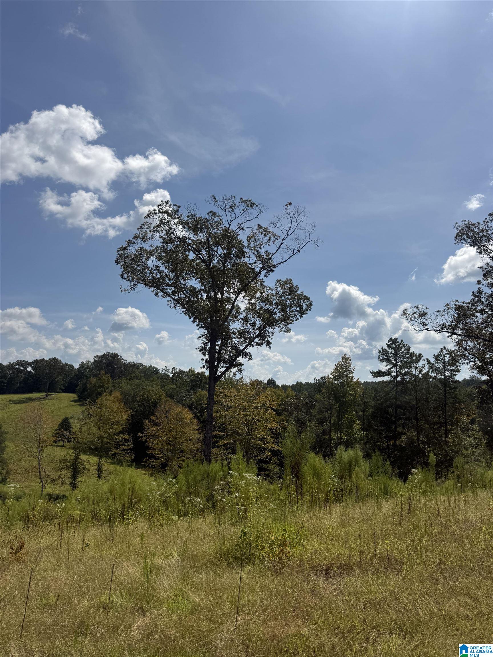 8.19 B WOODGATE SHORES DRIVE