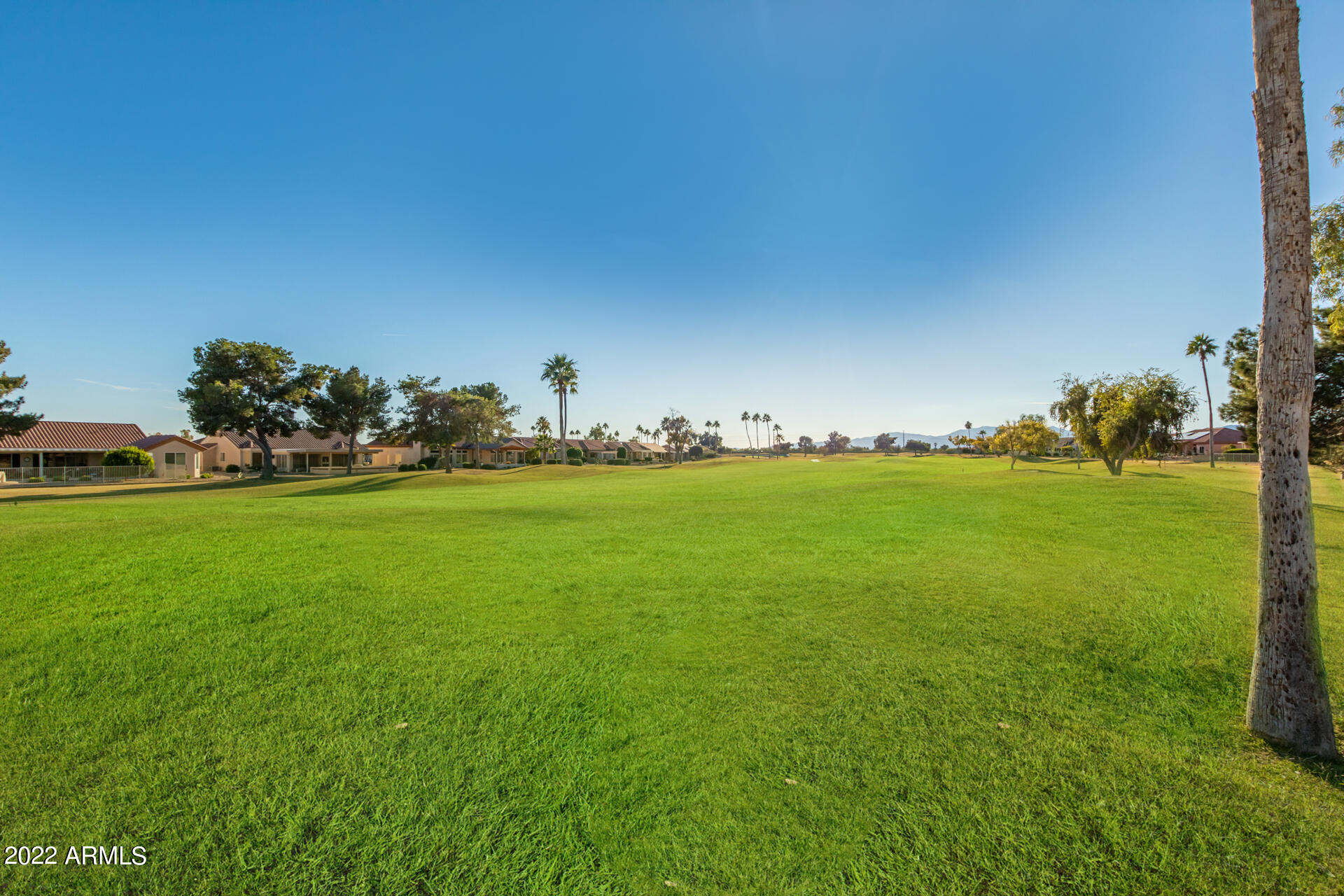 14817 W RAVENSWOOD Drive