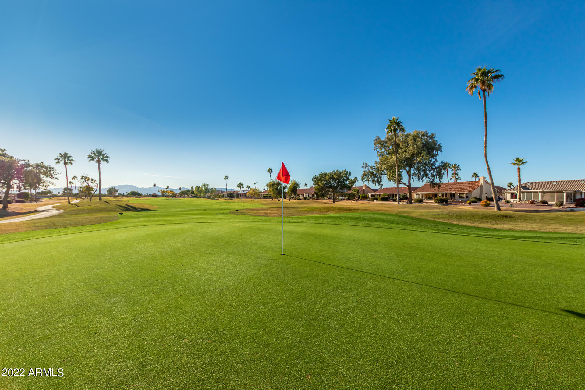 14817 W RAVENSWOOD Drive