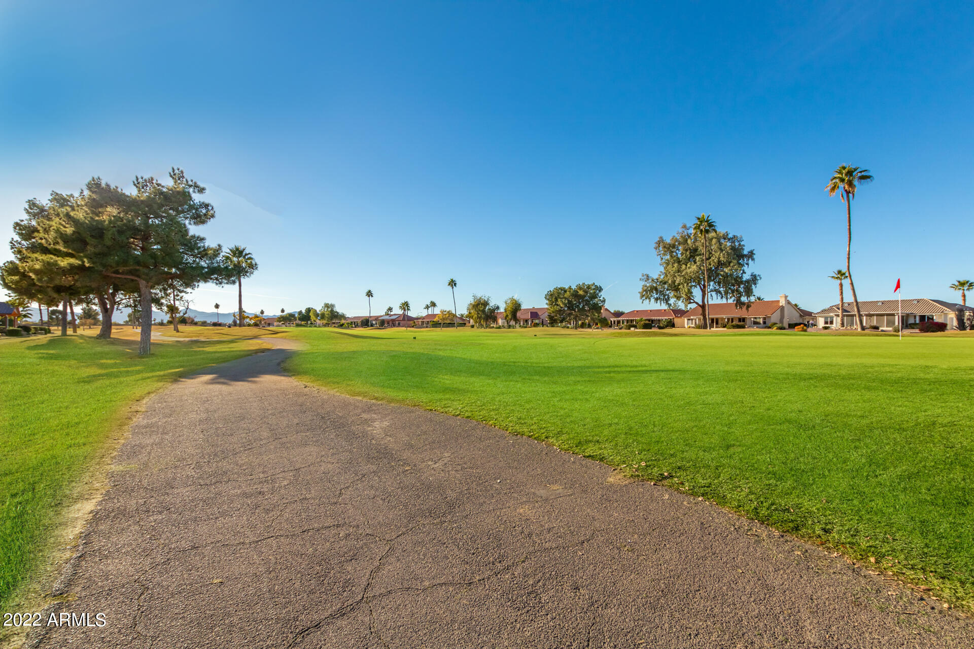 14817 W RAVENSWOOD Drive