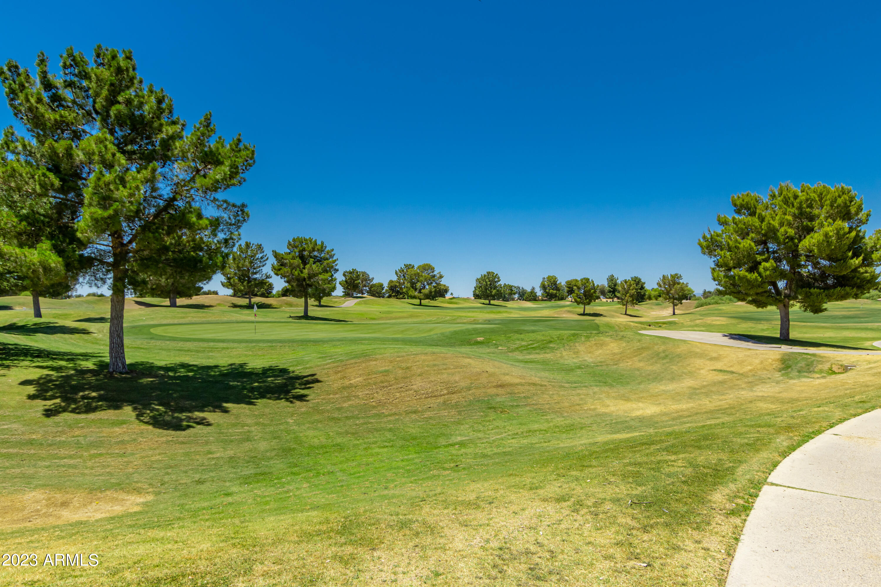 18139 N FIESTA Drive