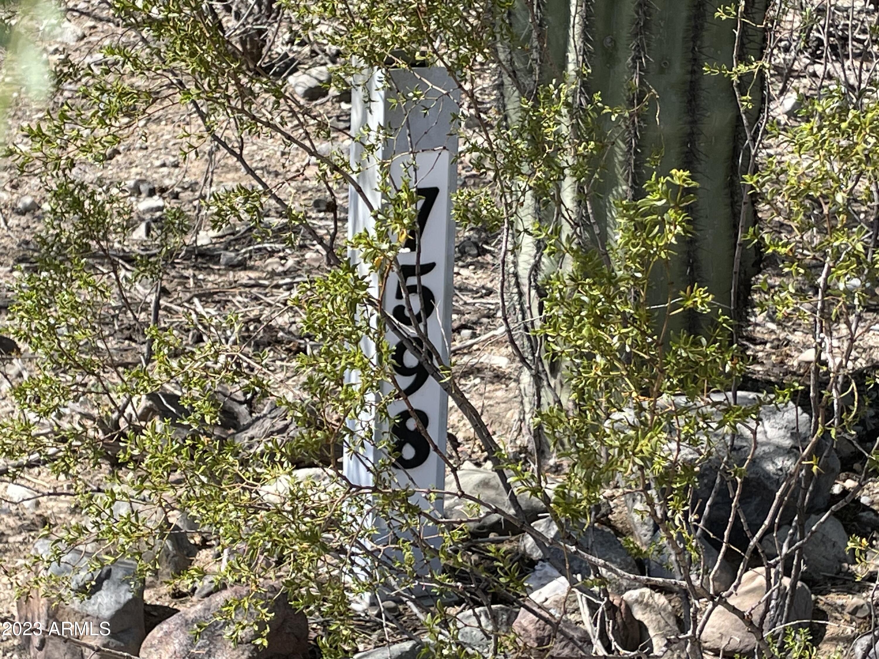 7598 E LADY FAWN Lane