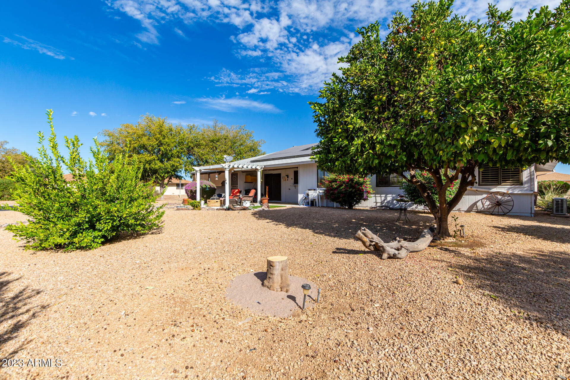 12839 W BLUE BONNET Drive