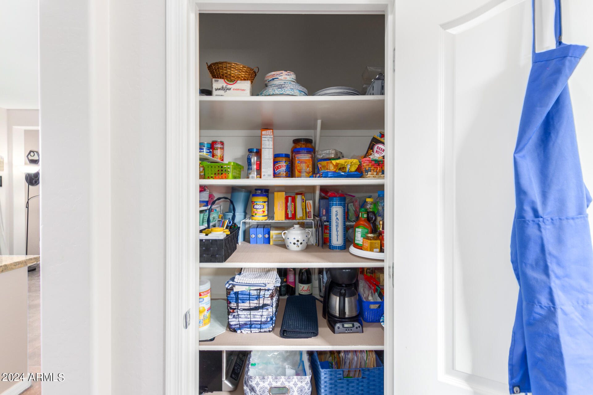 40866 W PARKHILL Drive