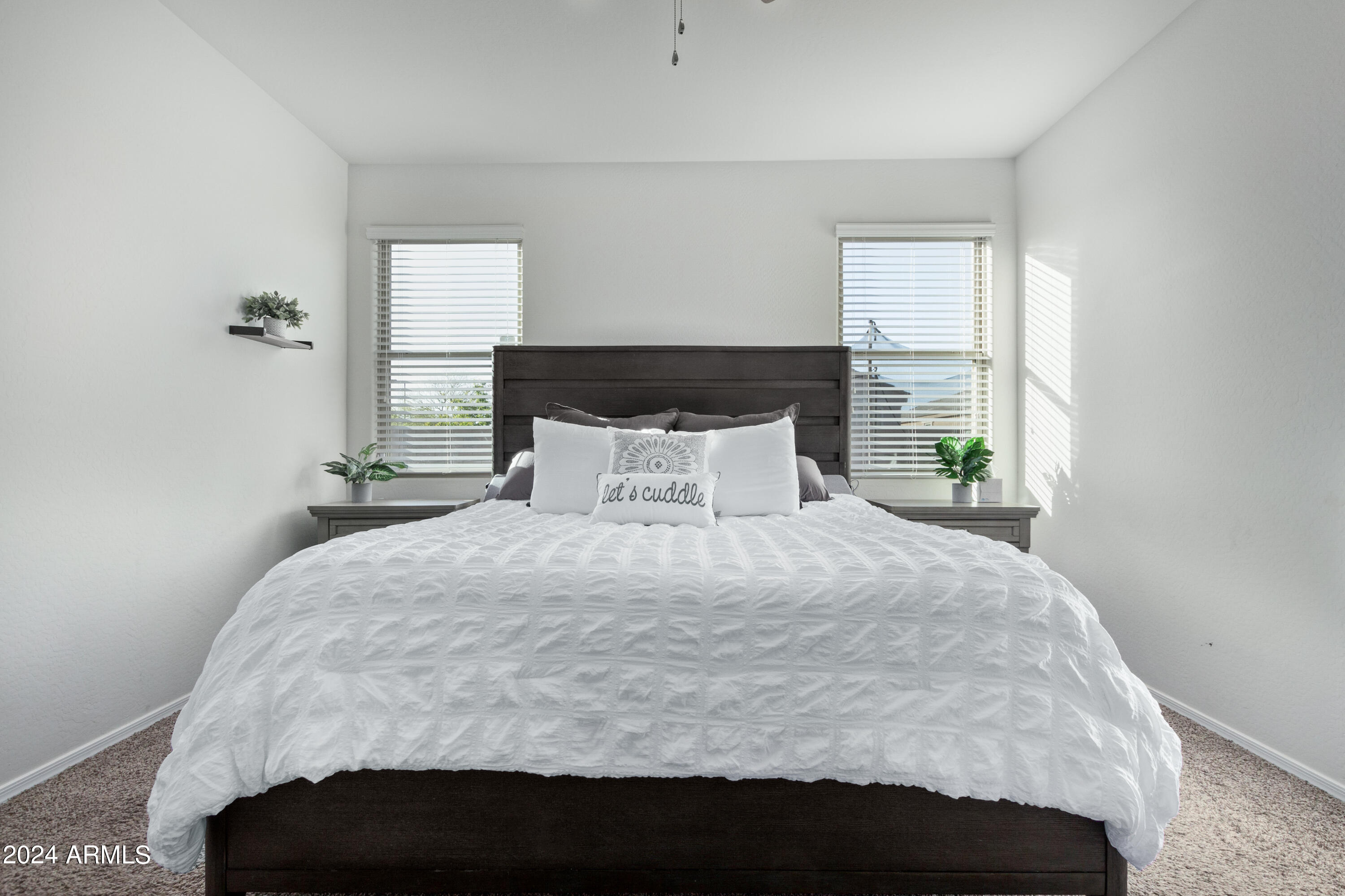 25348 W CARSON Drive