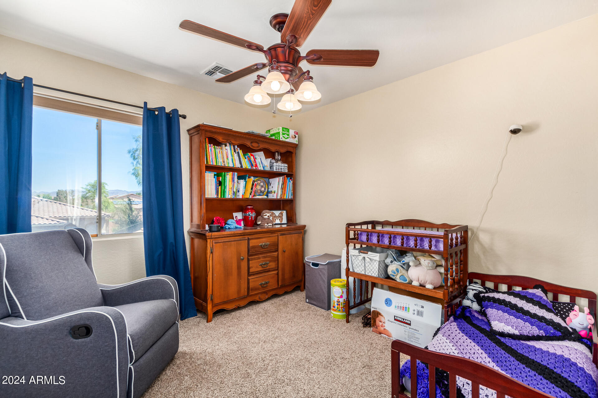 25585 W NORTH STAR Lane