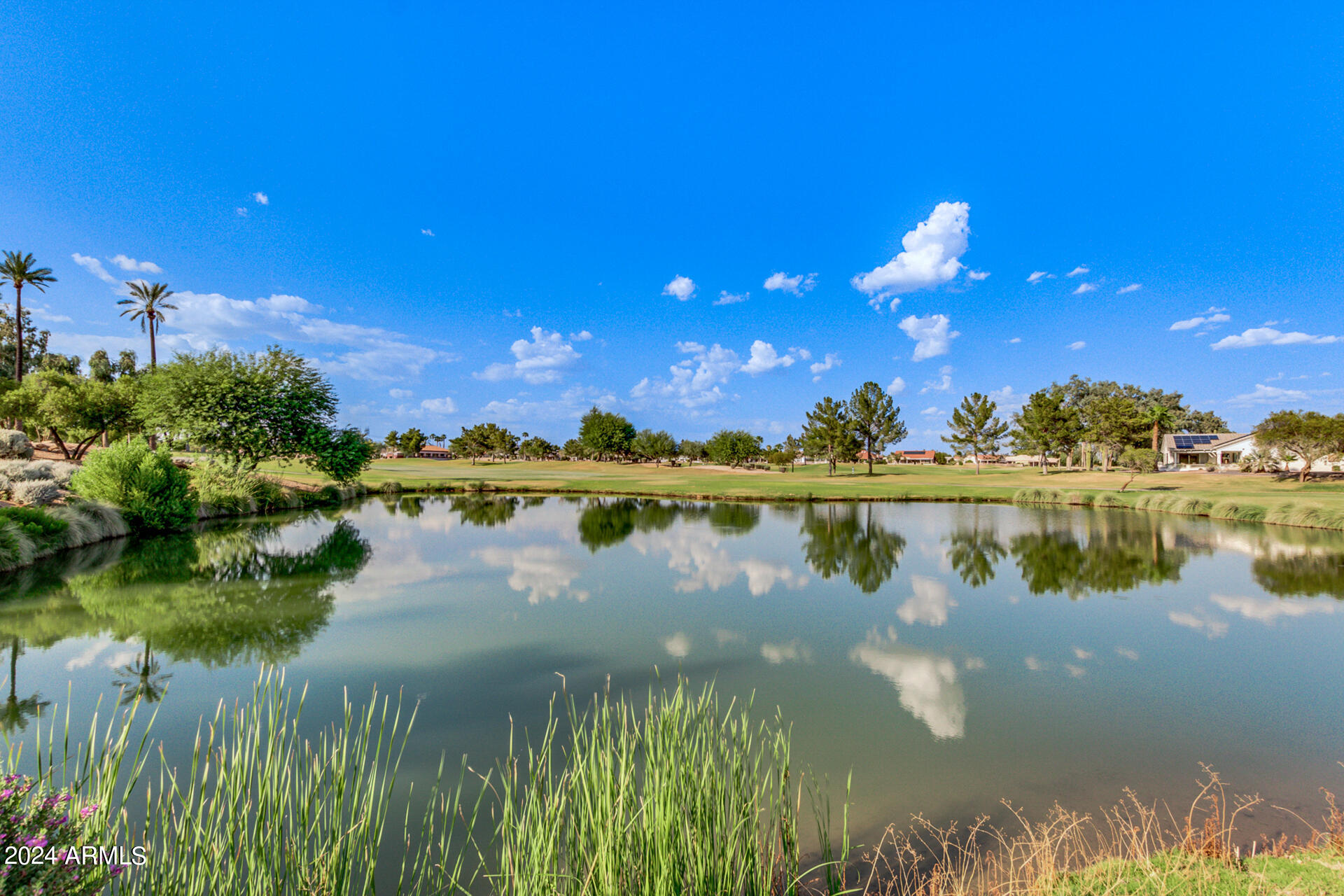 18227 N ALYSSUM Drive