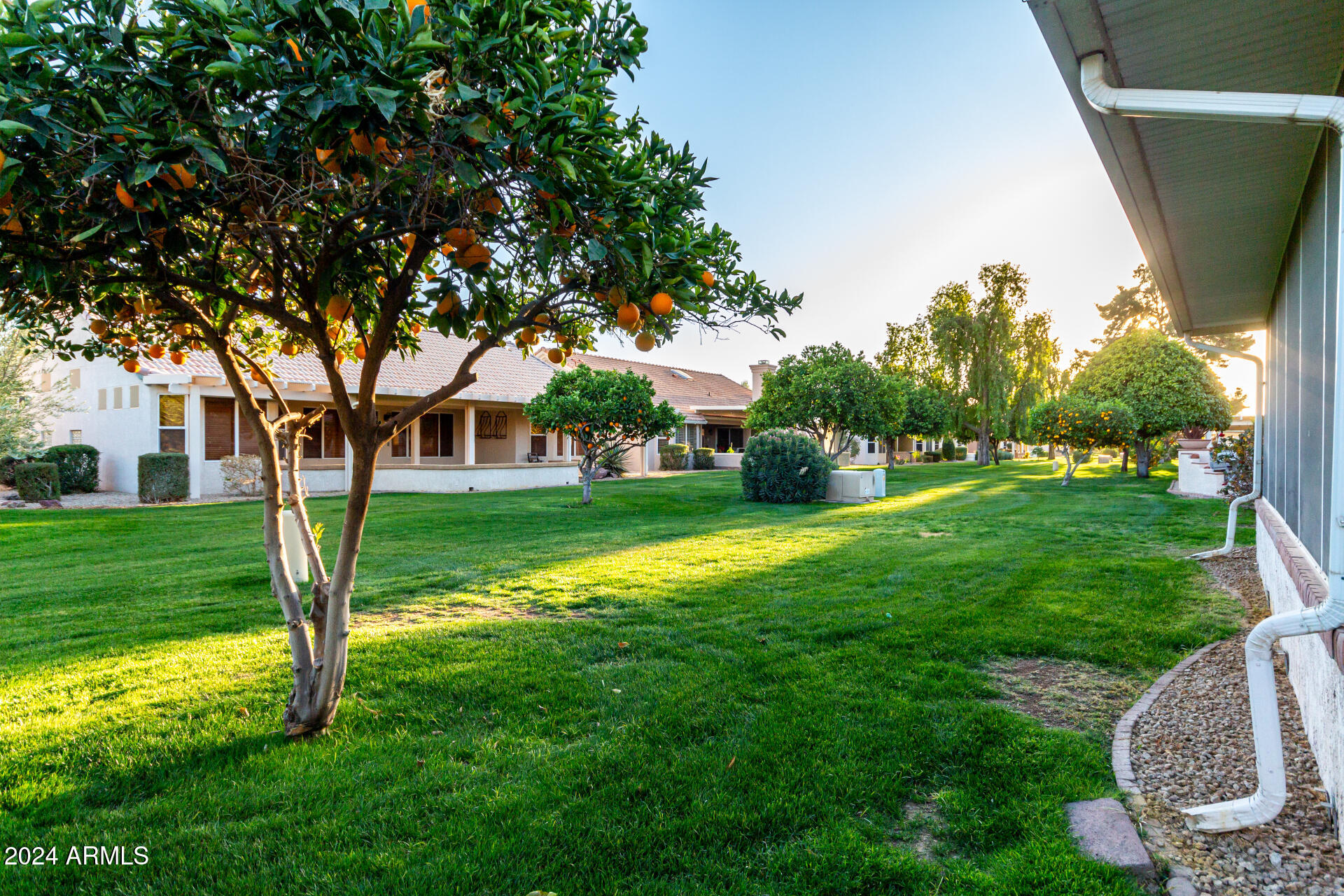 14105 W SKY HAWK Drive