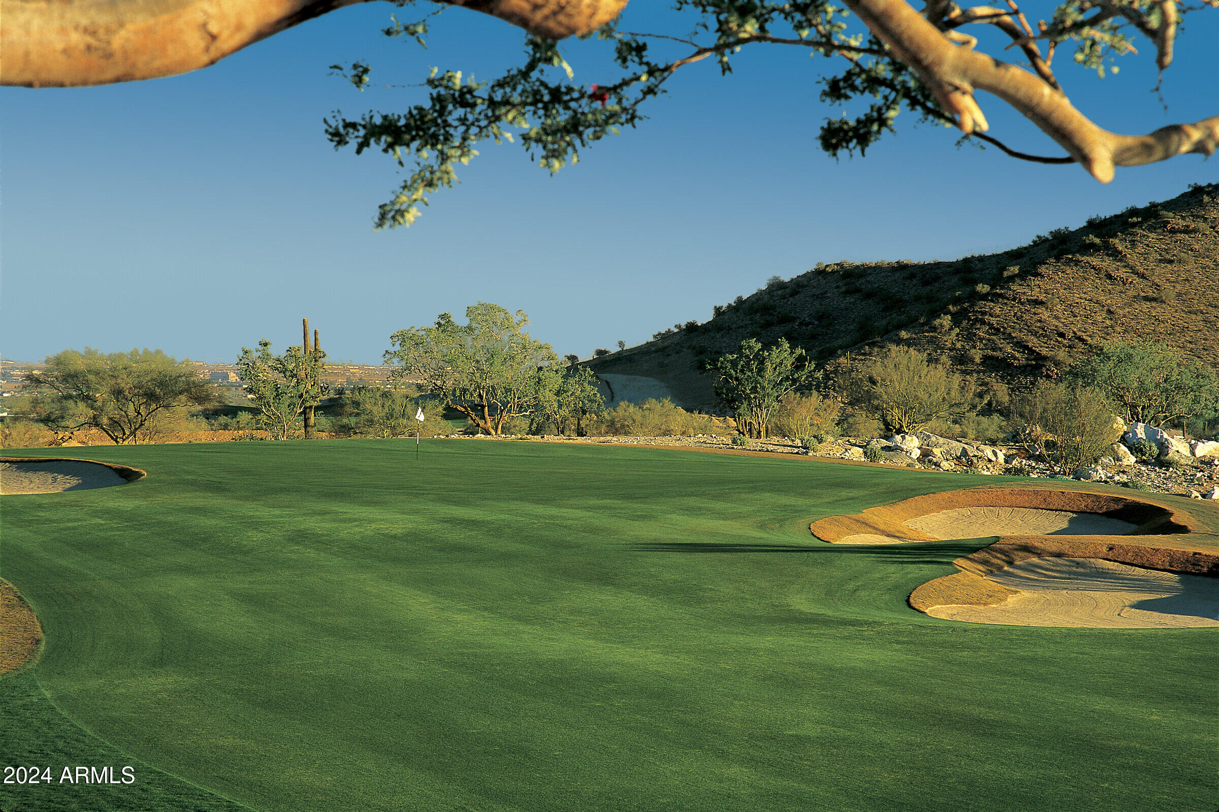 20317 W Turney Avenue