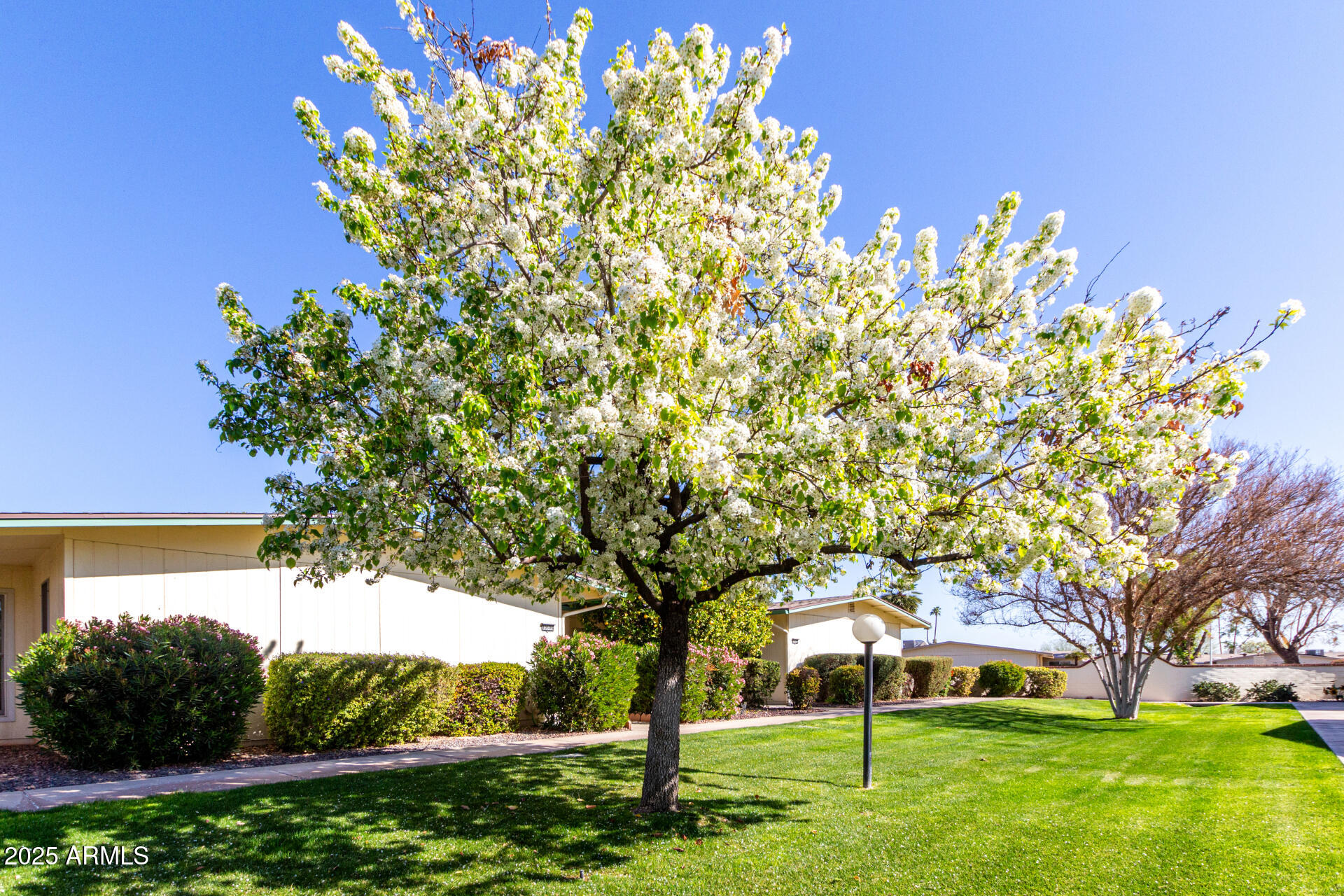 10511 W WHEATRIDGE Drive