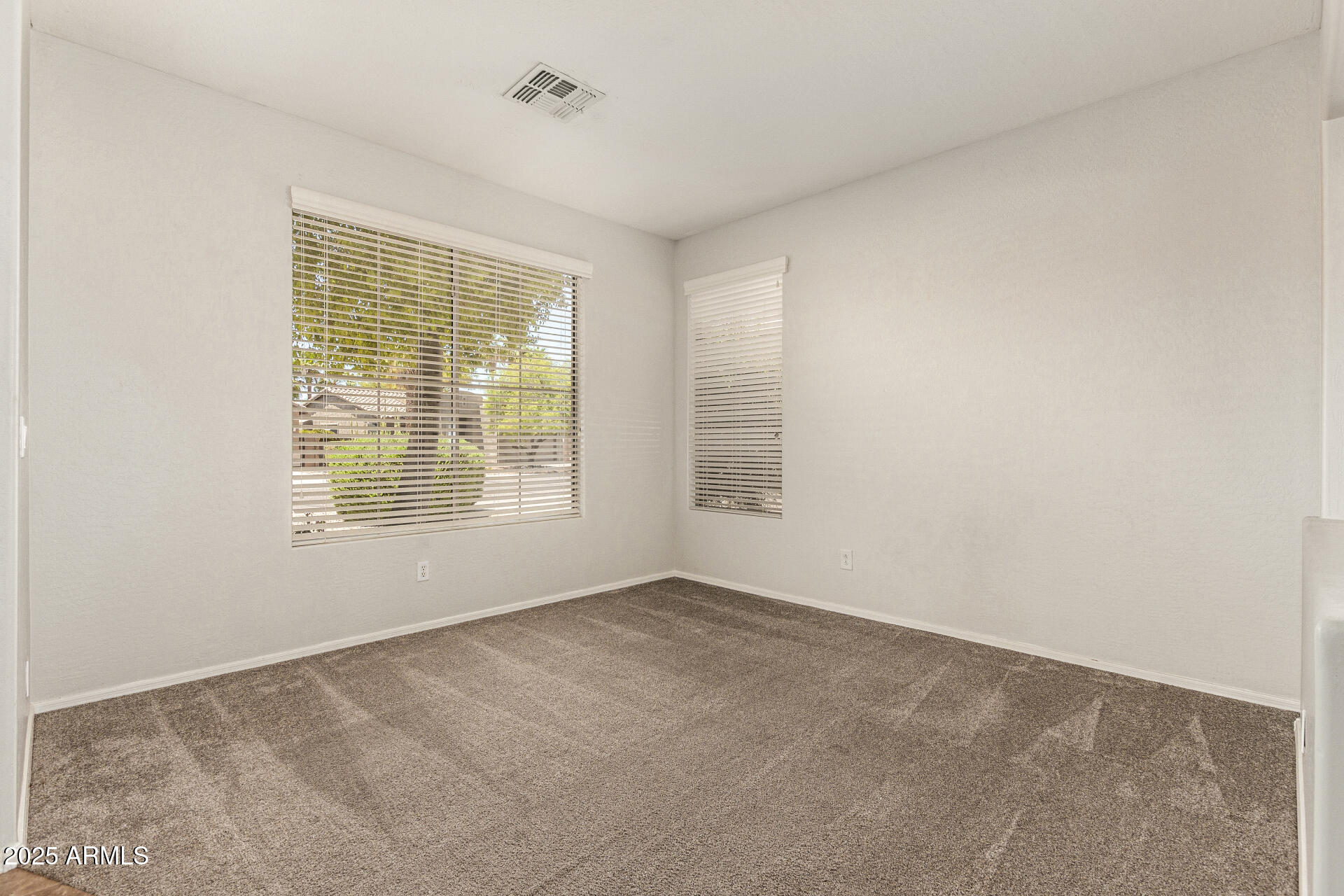 29919 N Little Leaf Drive