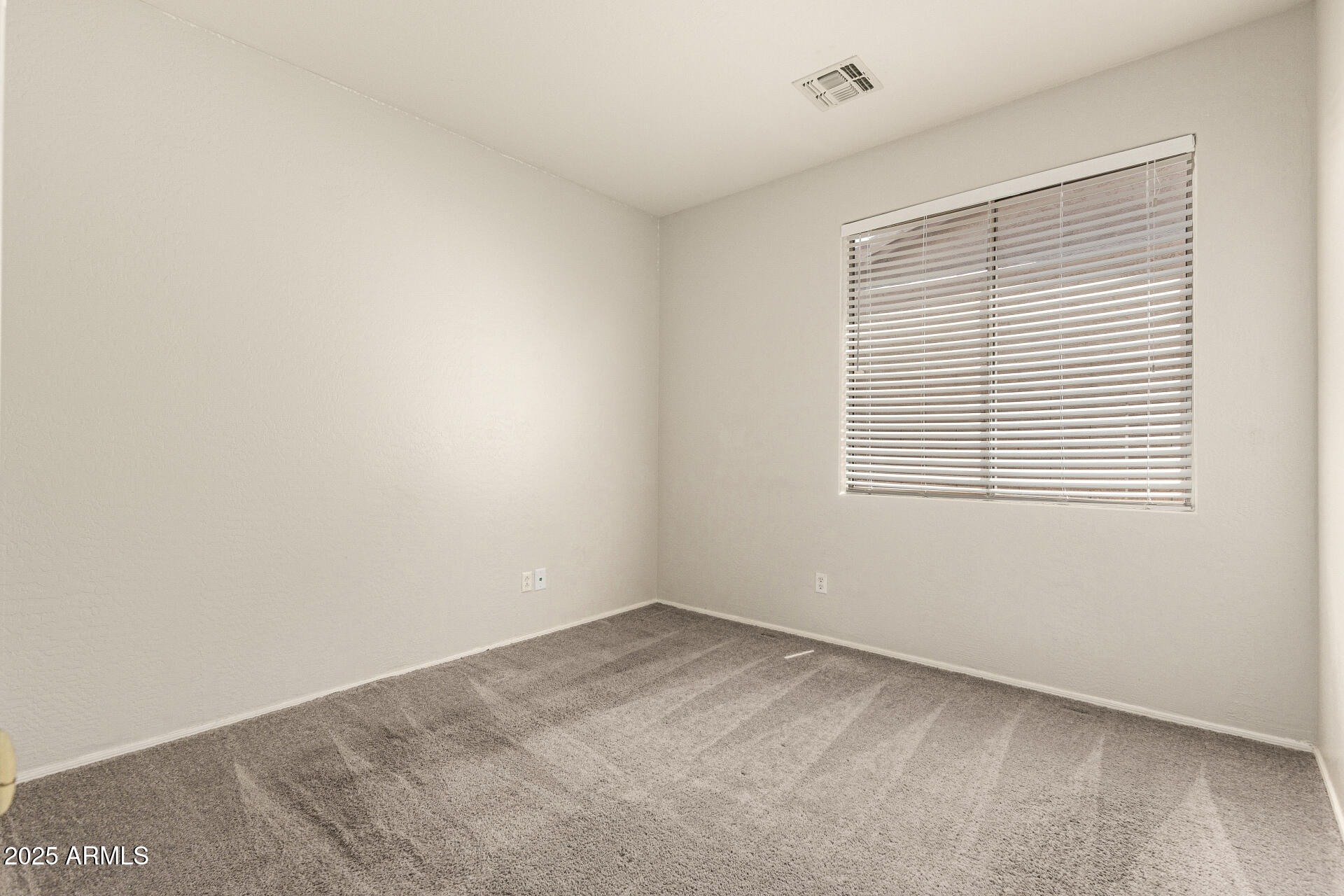 29919 N Little Leaf Drive