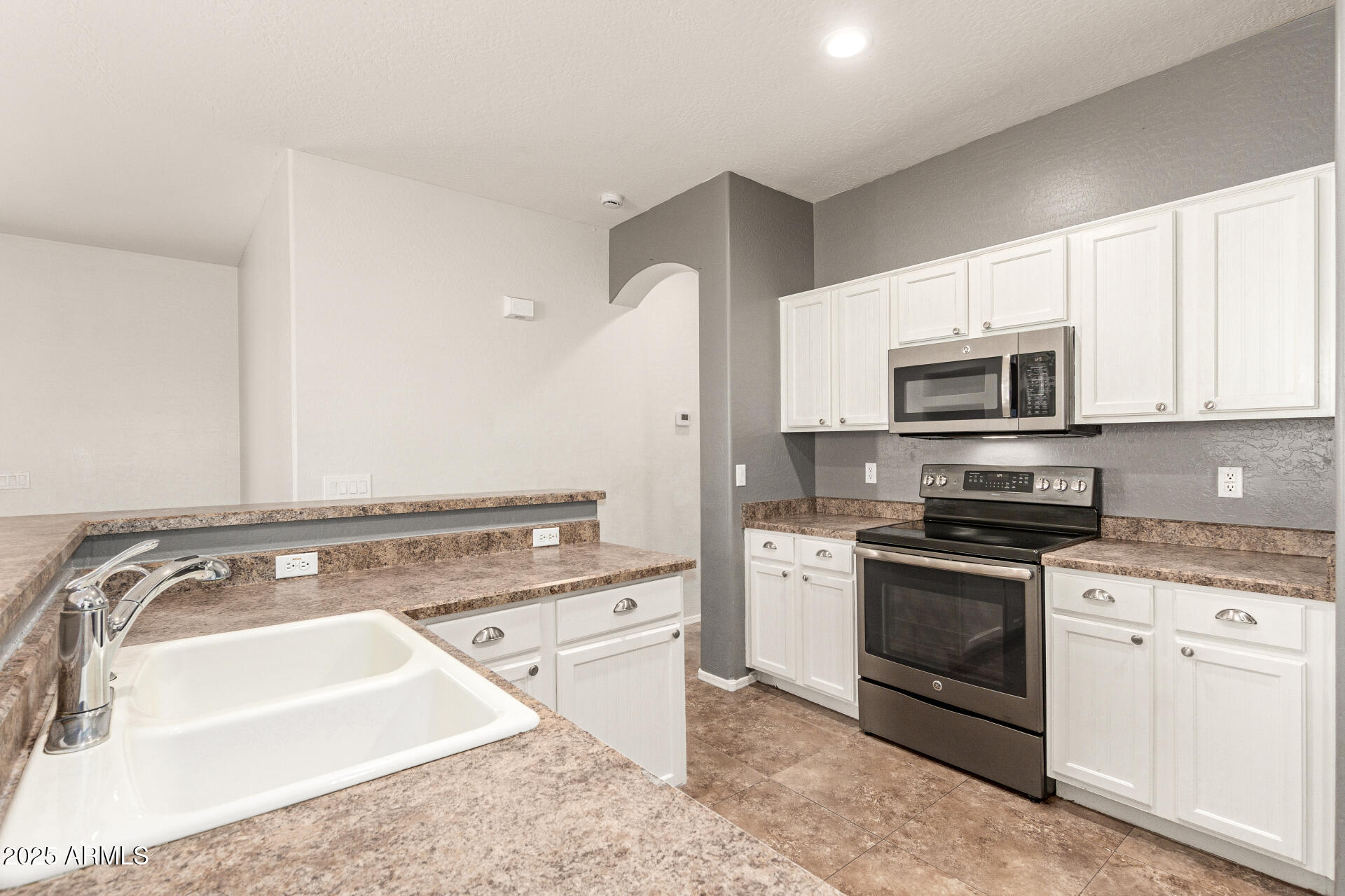 29919 N Little Leaf Drive