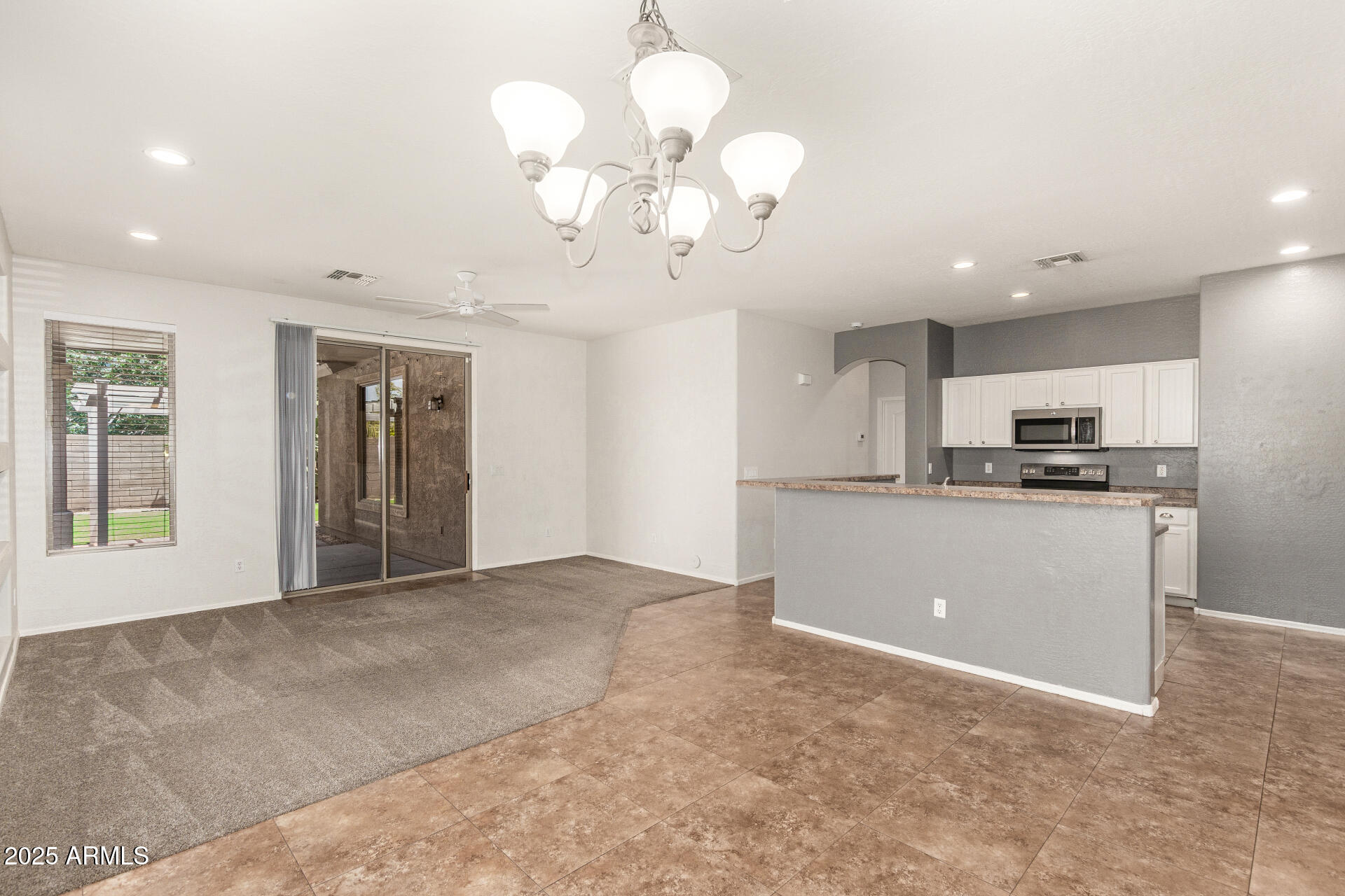 29919 N Little Leaf Drive