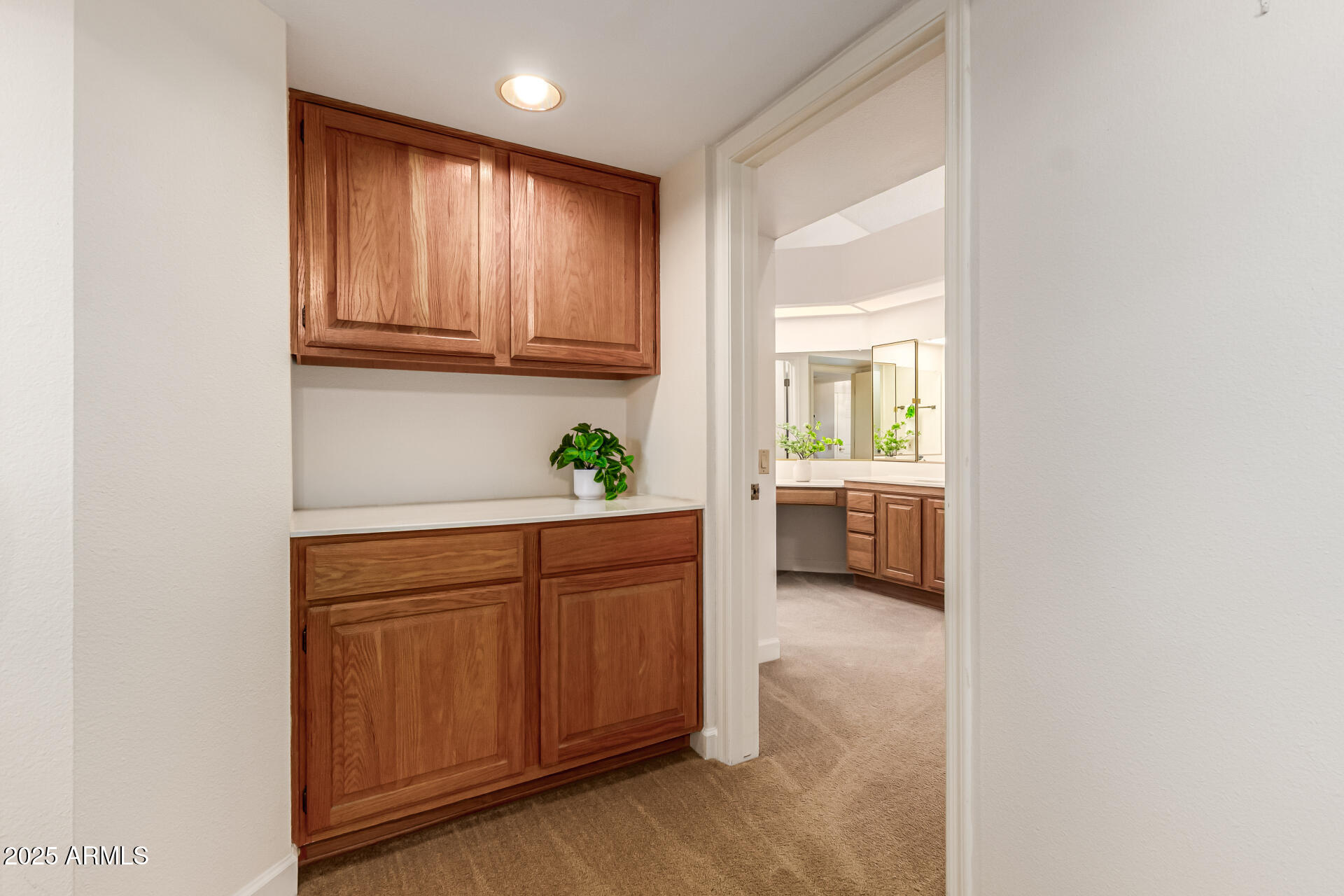 19403 N TRAIL RIDGE Drive