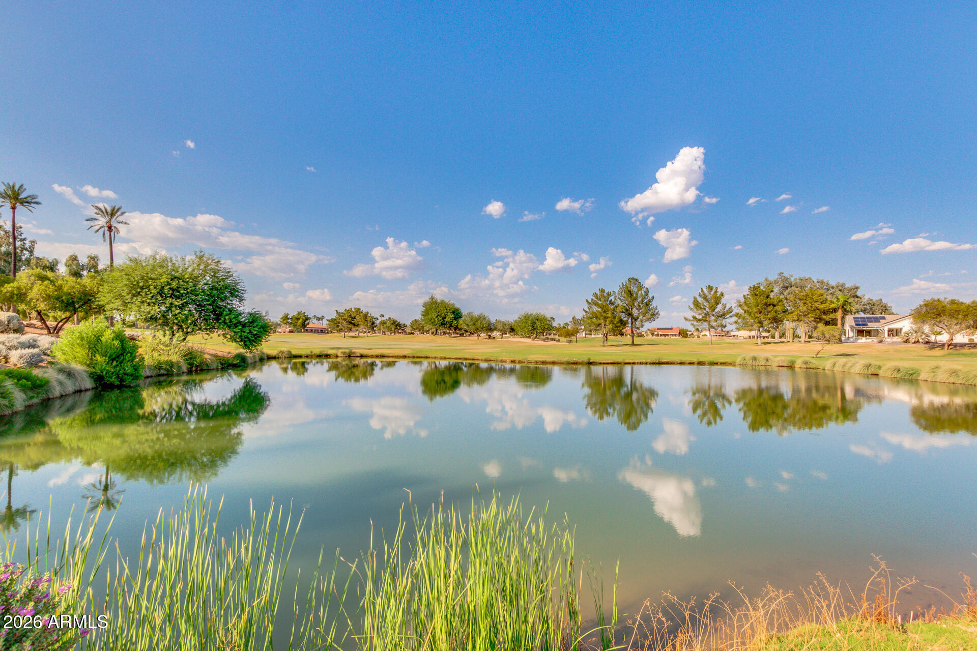 12423 W FOXFIRE Drive