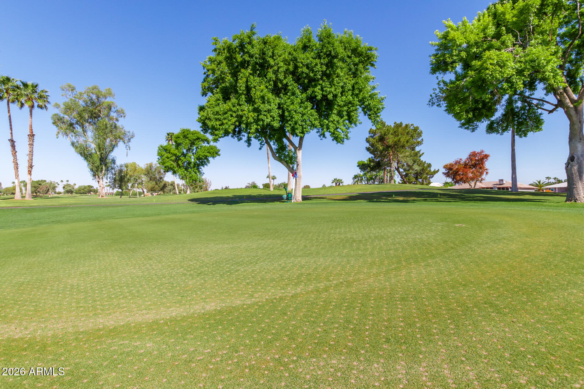 12423 W FOXFIRE Drive