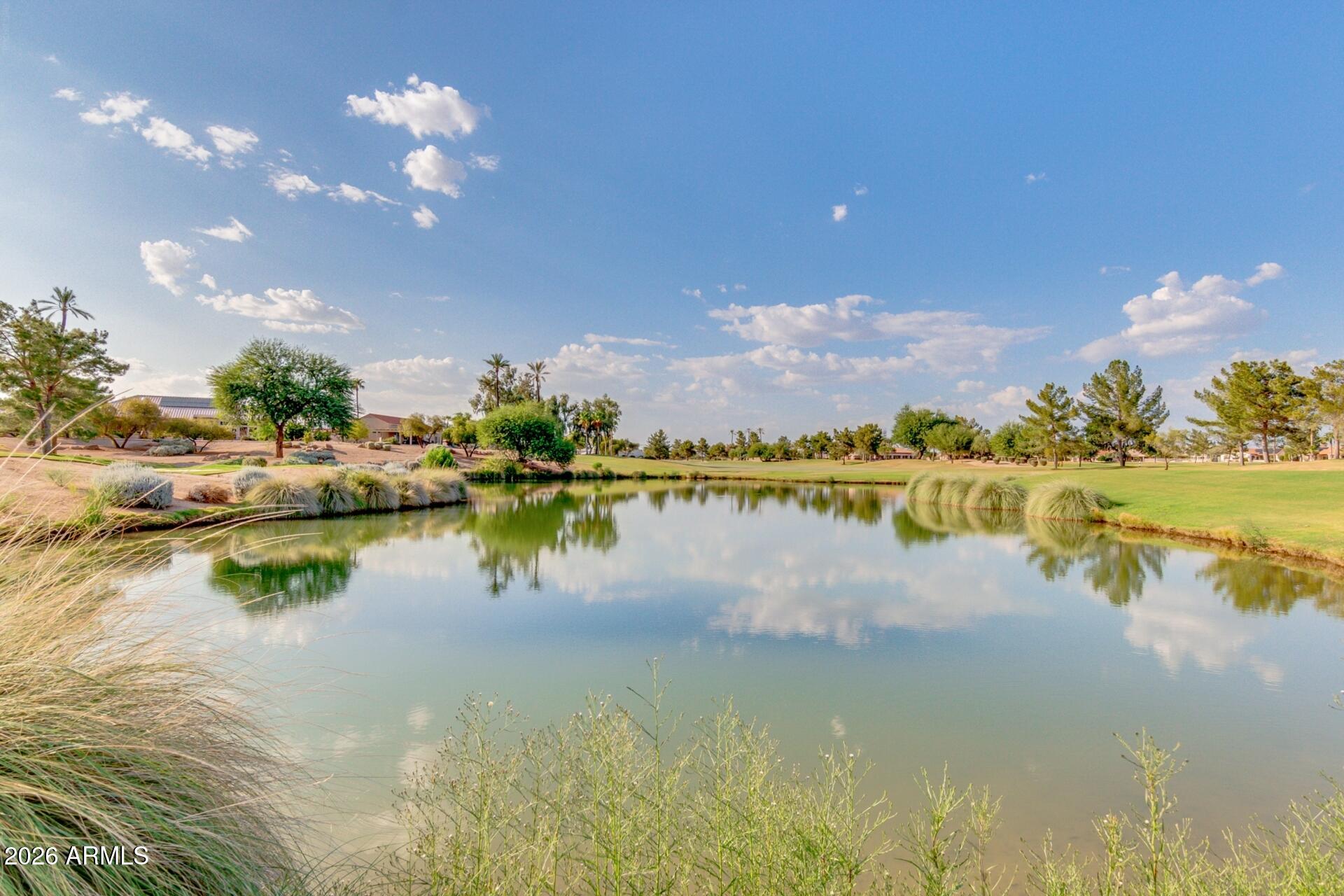 17242 N DESERT GLEN Drive