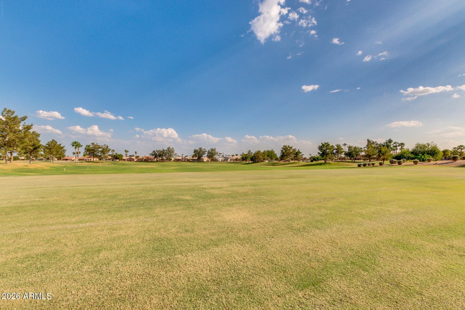 17242 N DESERT GLEN Drive