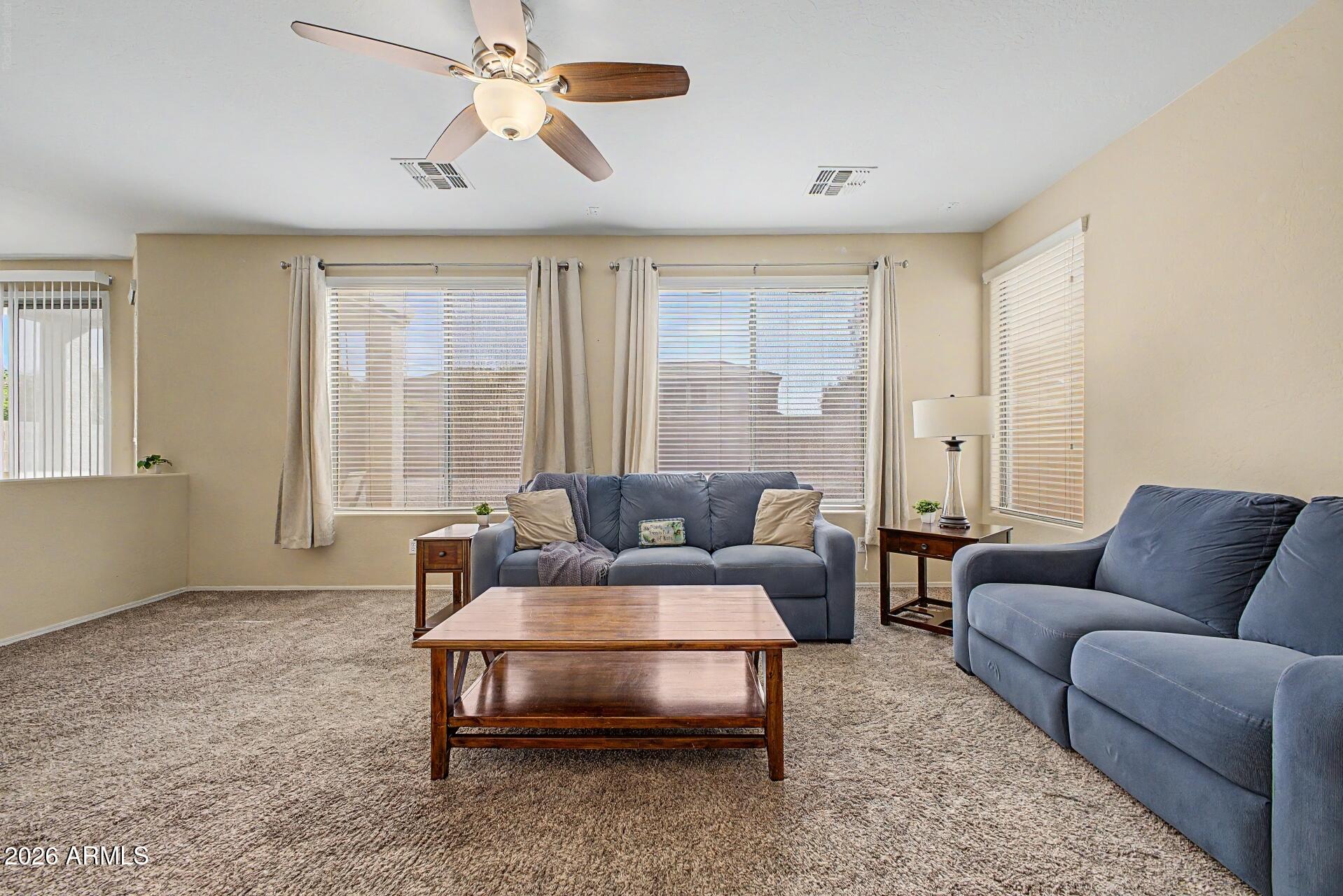 31292 N SADDLEBAG Lane