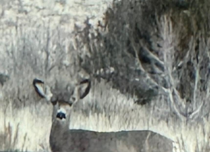 BLK H, VALLEY VISION UNIT 1