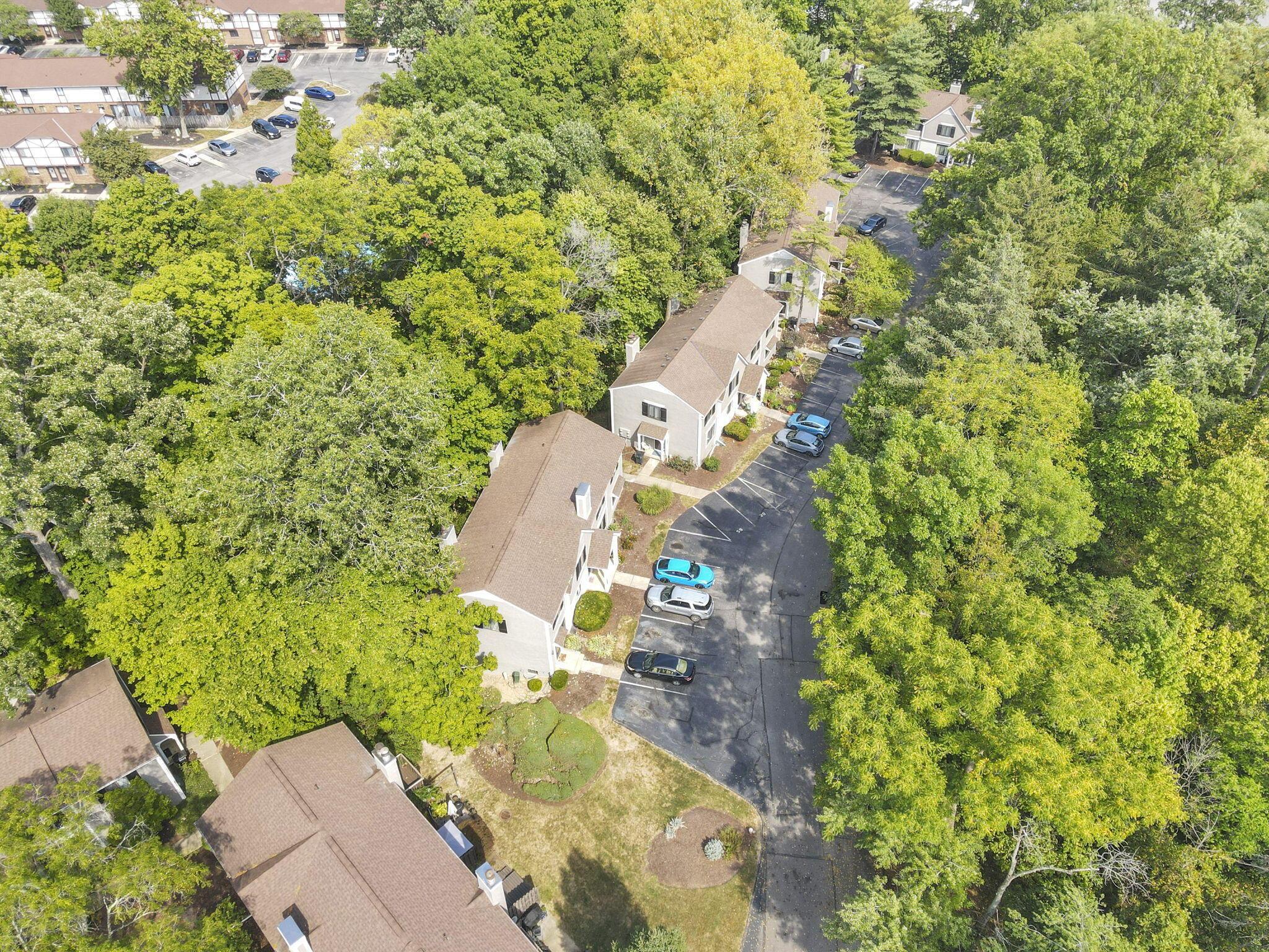 3034 Cooper Bluff Drive