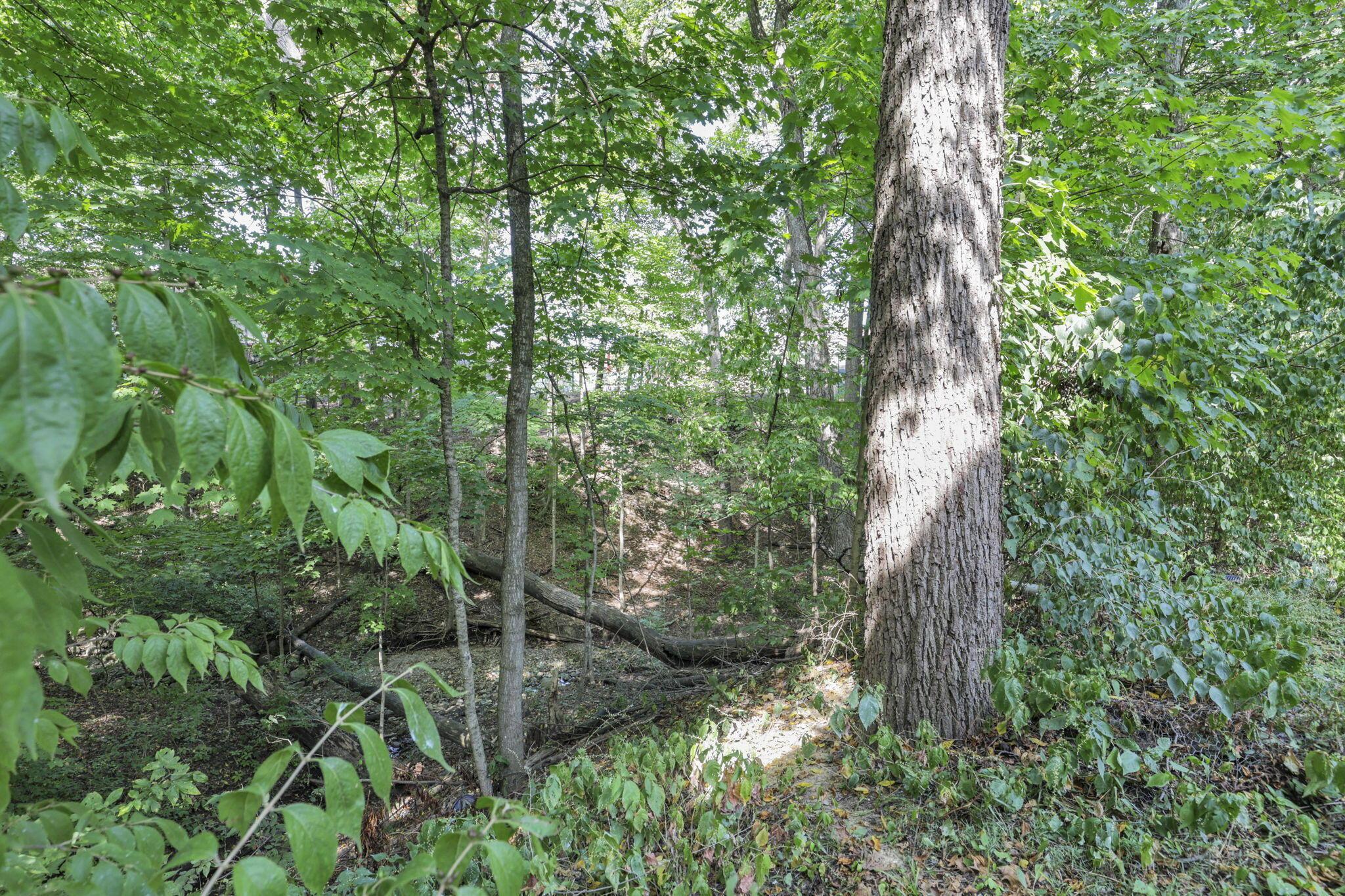 3034 Cooper Bluff Drive