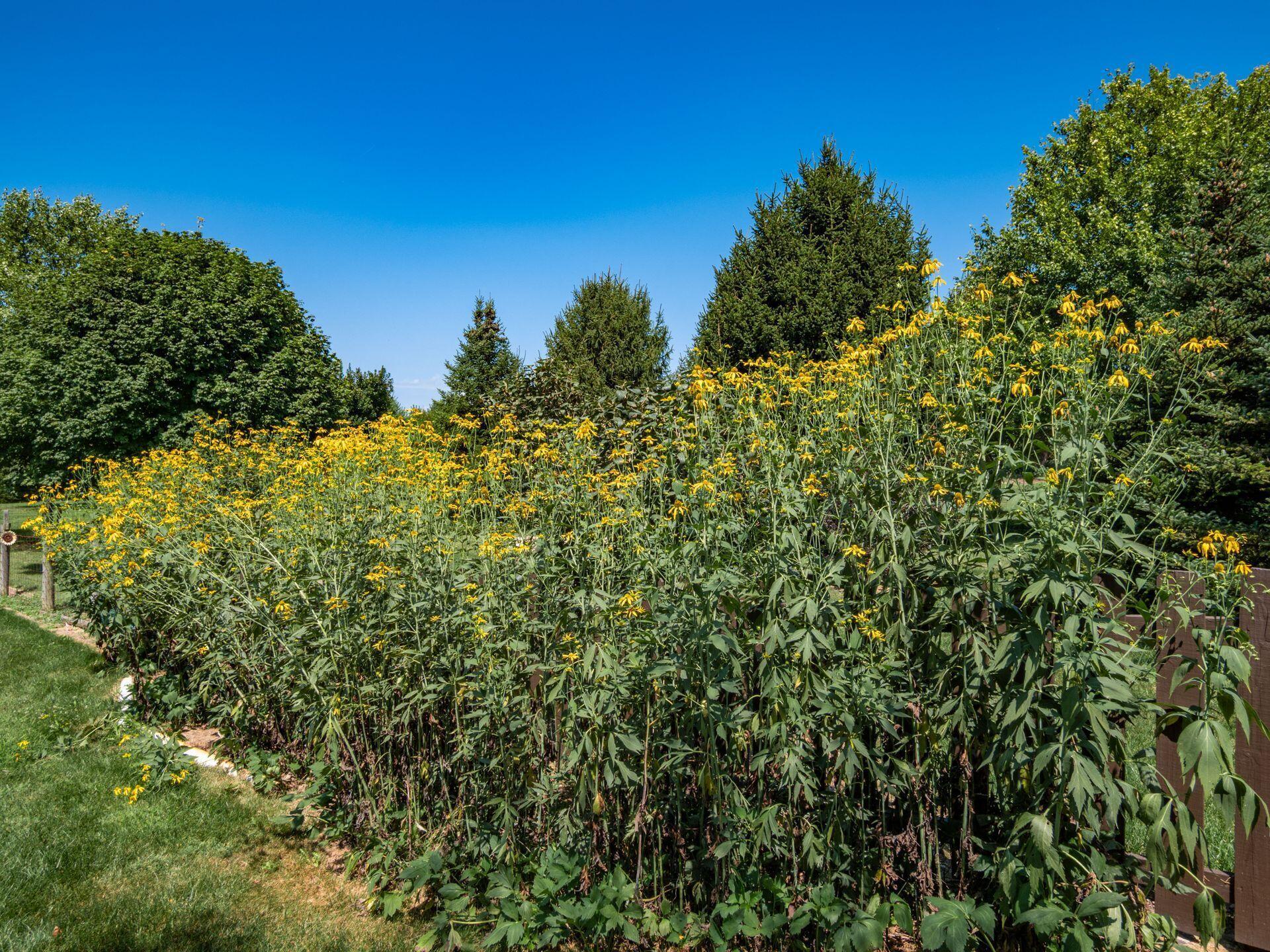 2161 State Route 203