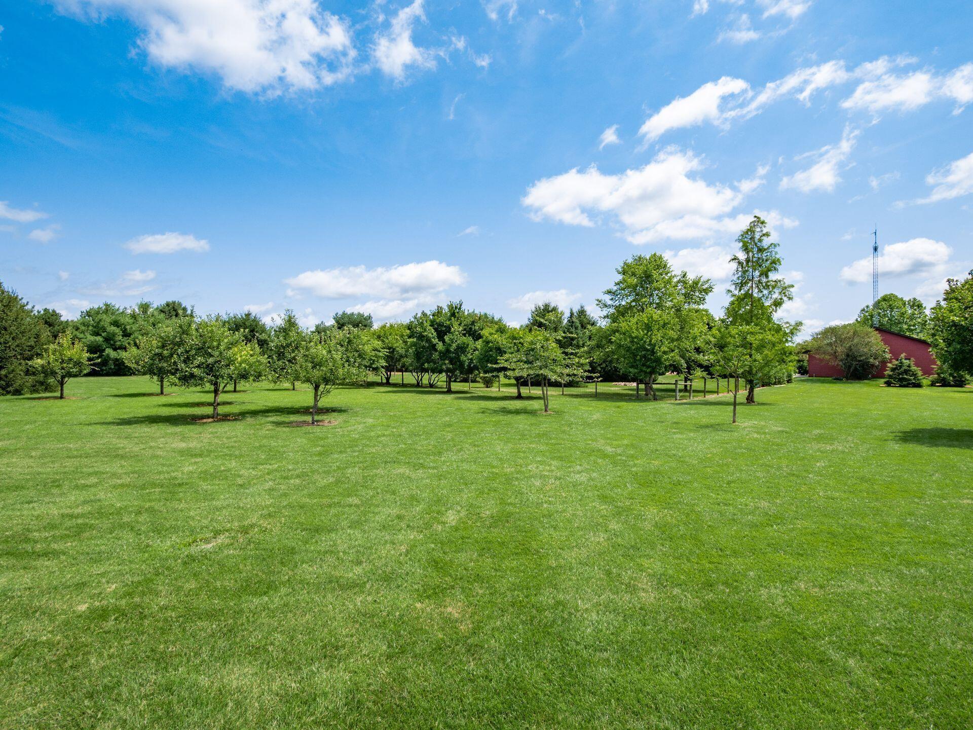 2161 State Route 203