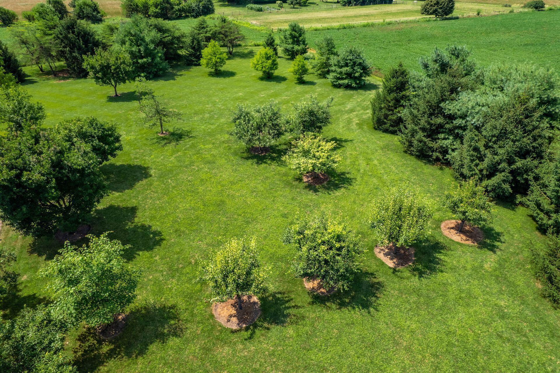 2161 State Route 203