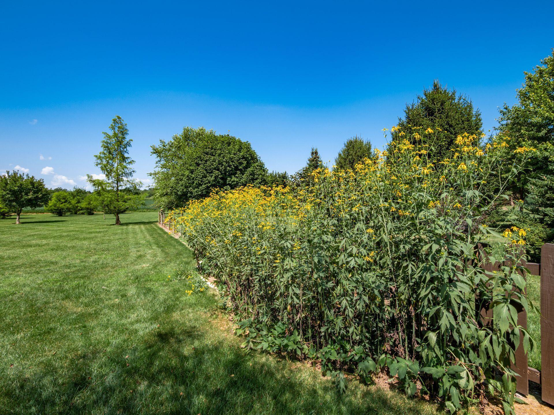 2161 State Route 203