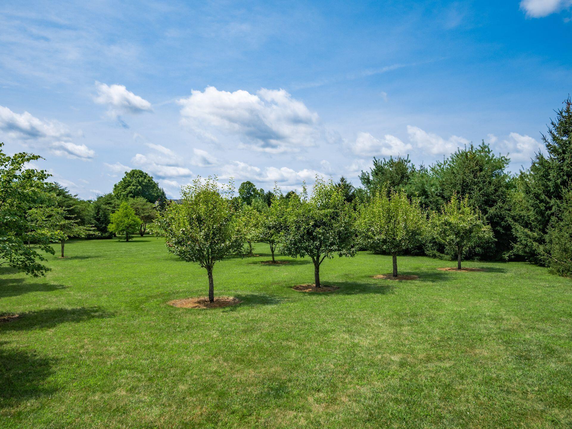 2161 State Route 203