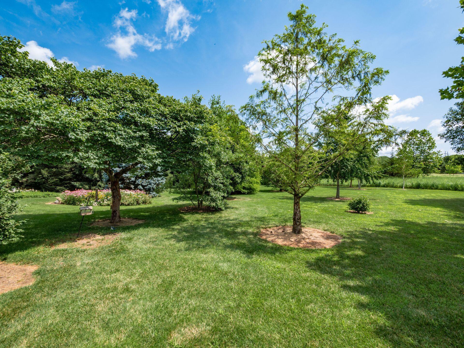 2161 State Route 203