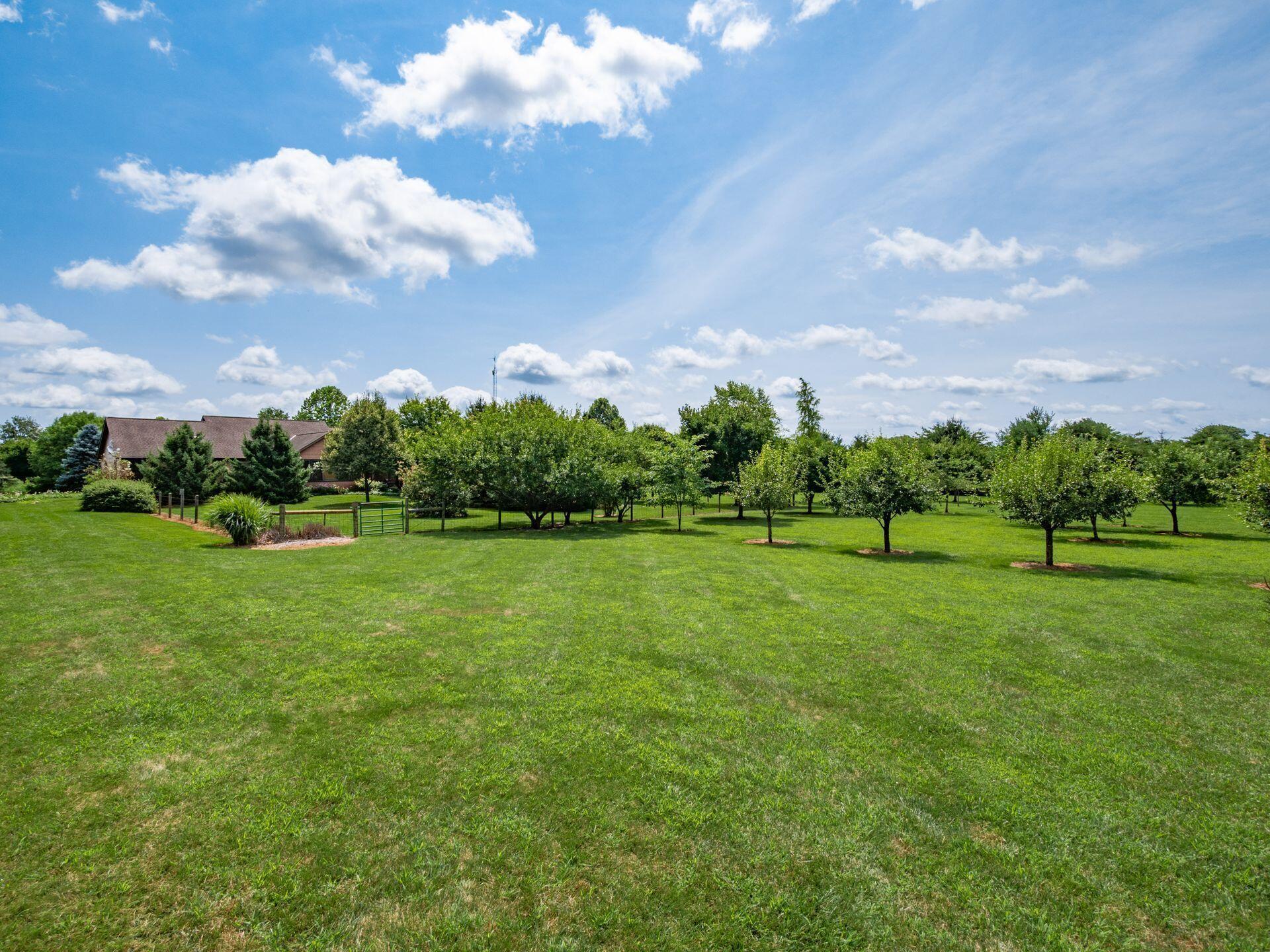 2161 State Route 203