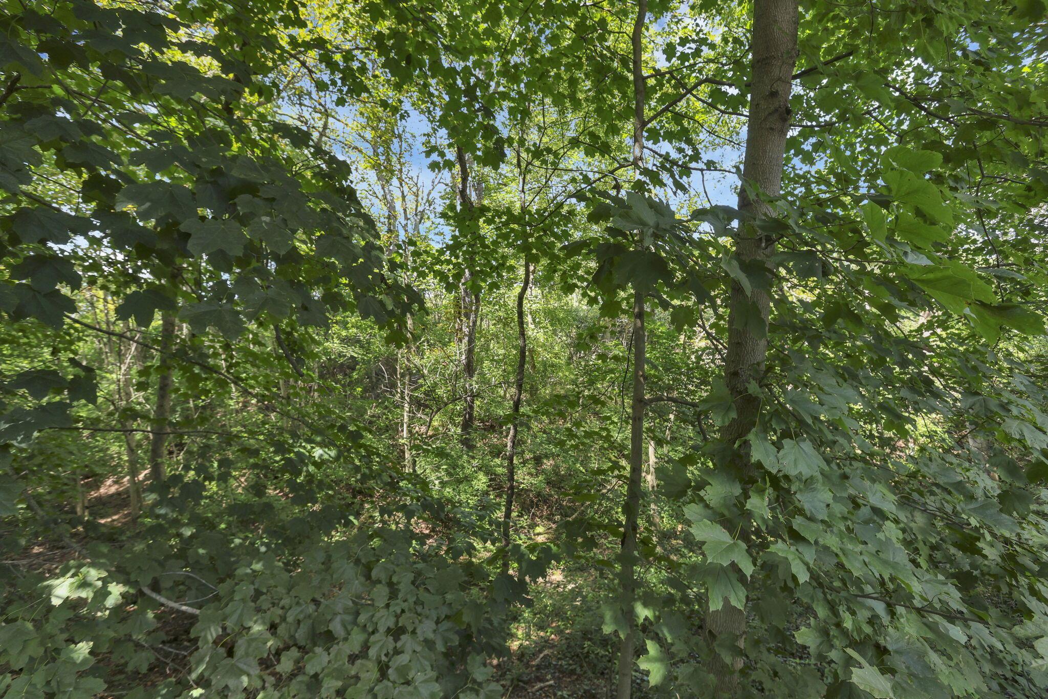6565 Taggart Road