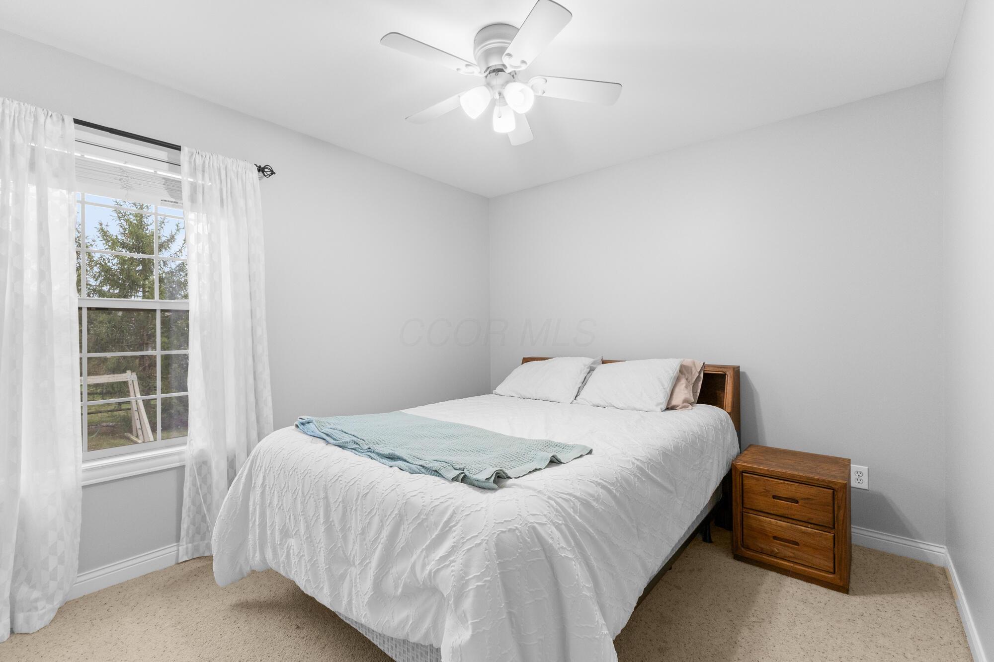 6113 El Camino Drive