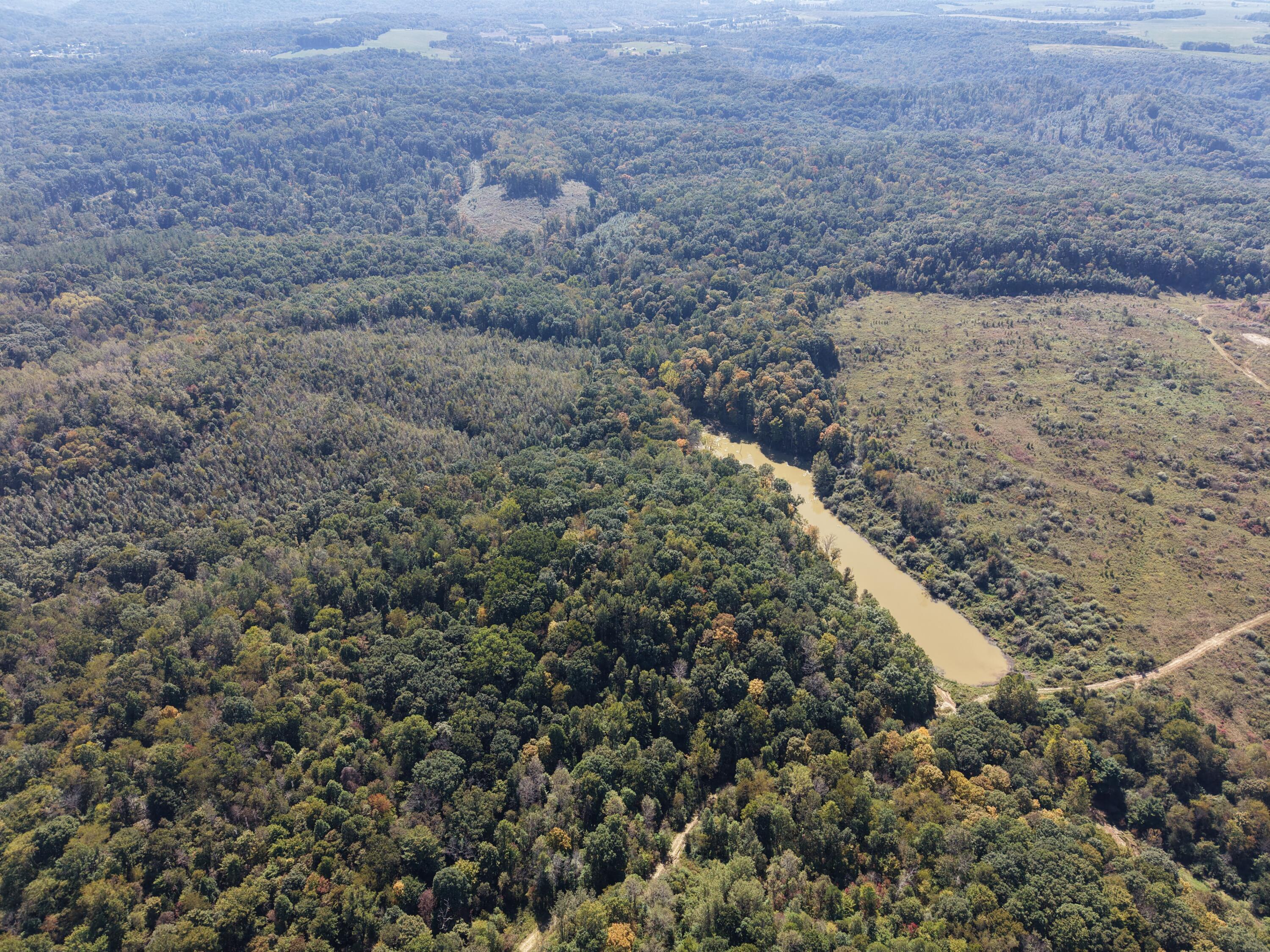 Aerial view of wooded acreage with a muddy pond and open clearings.