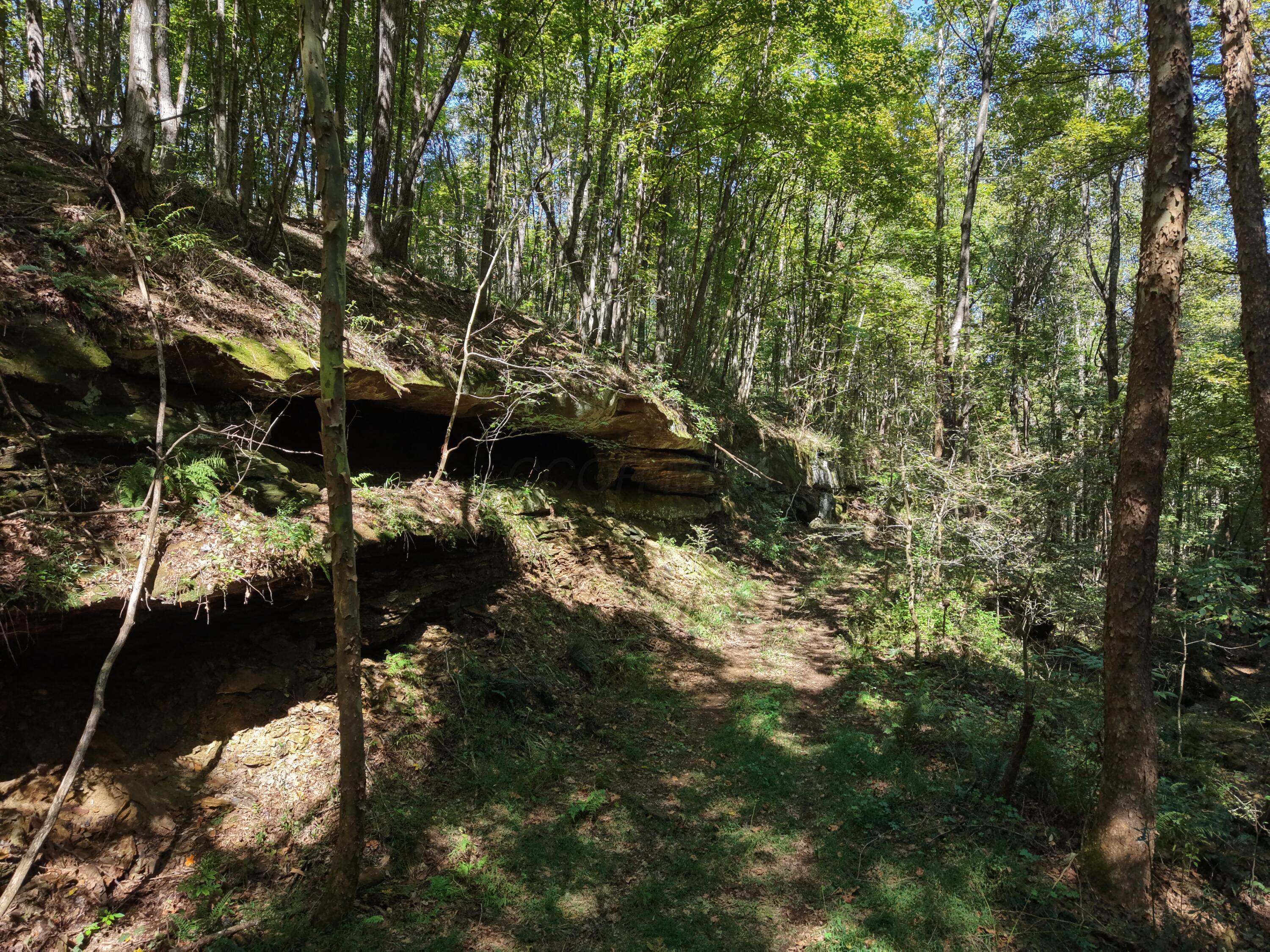 Wooded property trail winding past layered rock ledges and a shaded overhang.