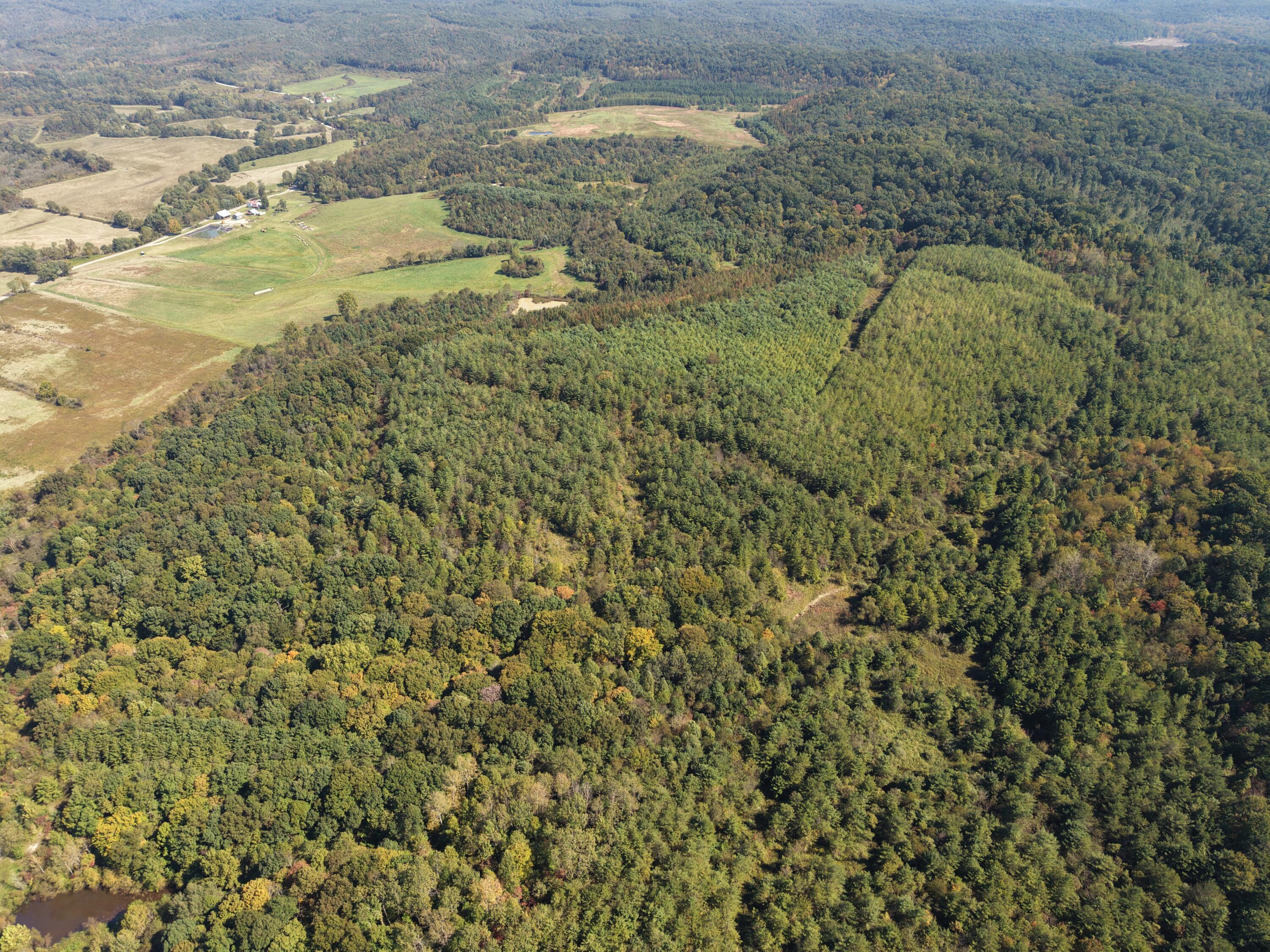 Aerial view of extensive woodland with open fields and a small pond.
