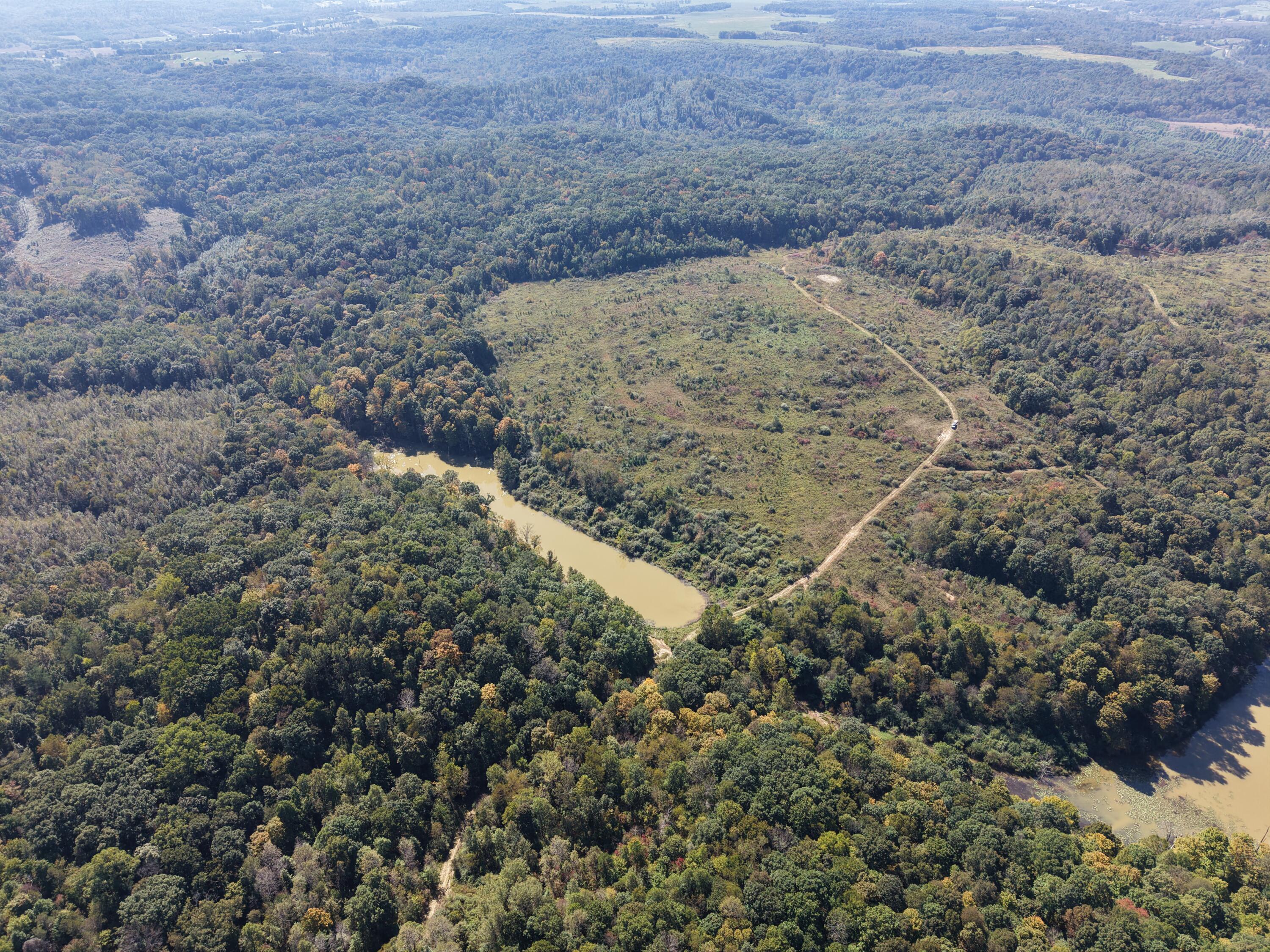 Aerial view of wooded land with a large clearing, dirt access road, and muddy pond.