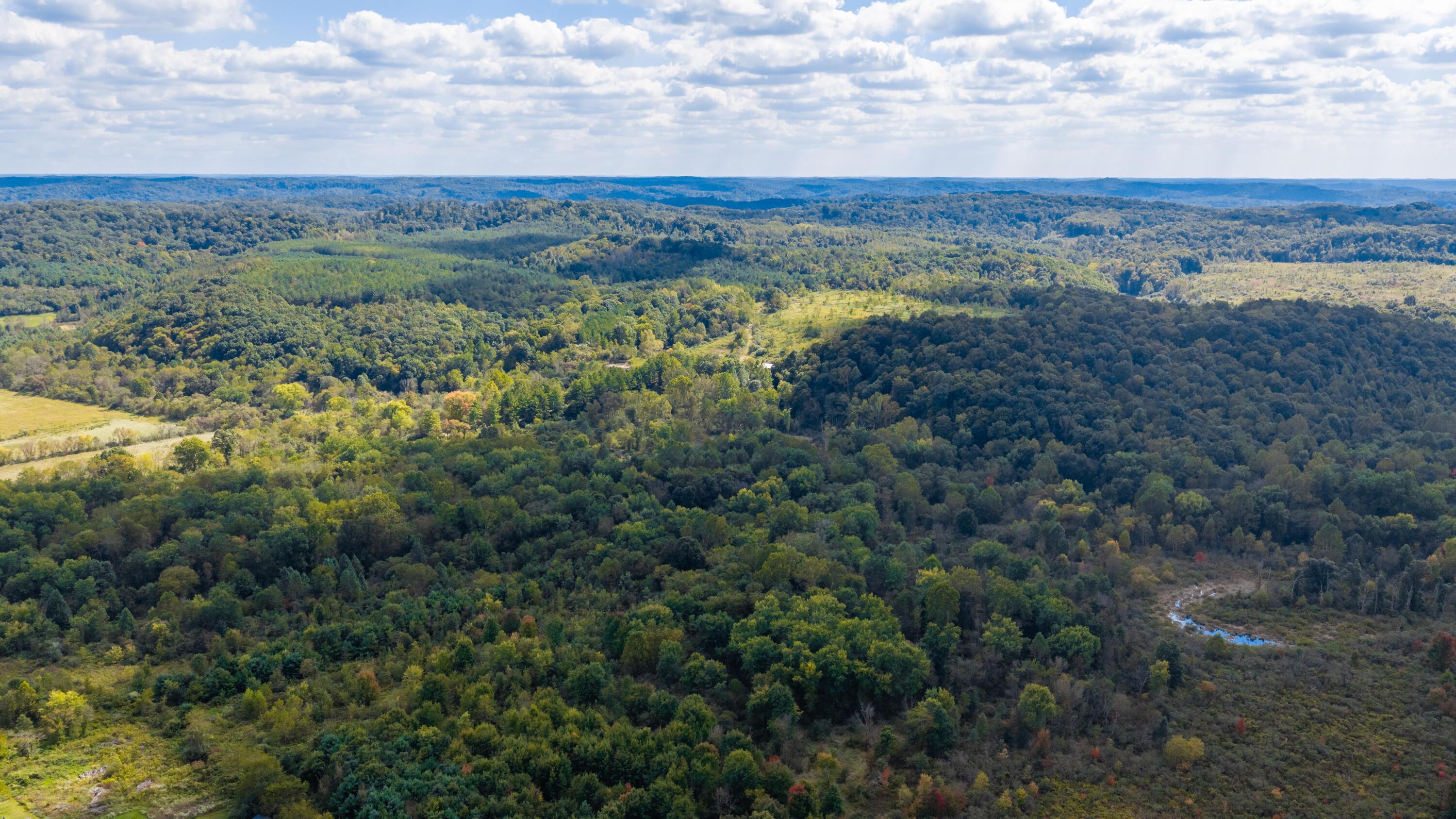 Aerial view of rolling wooded acreage with grassy clearings and a small stream.