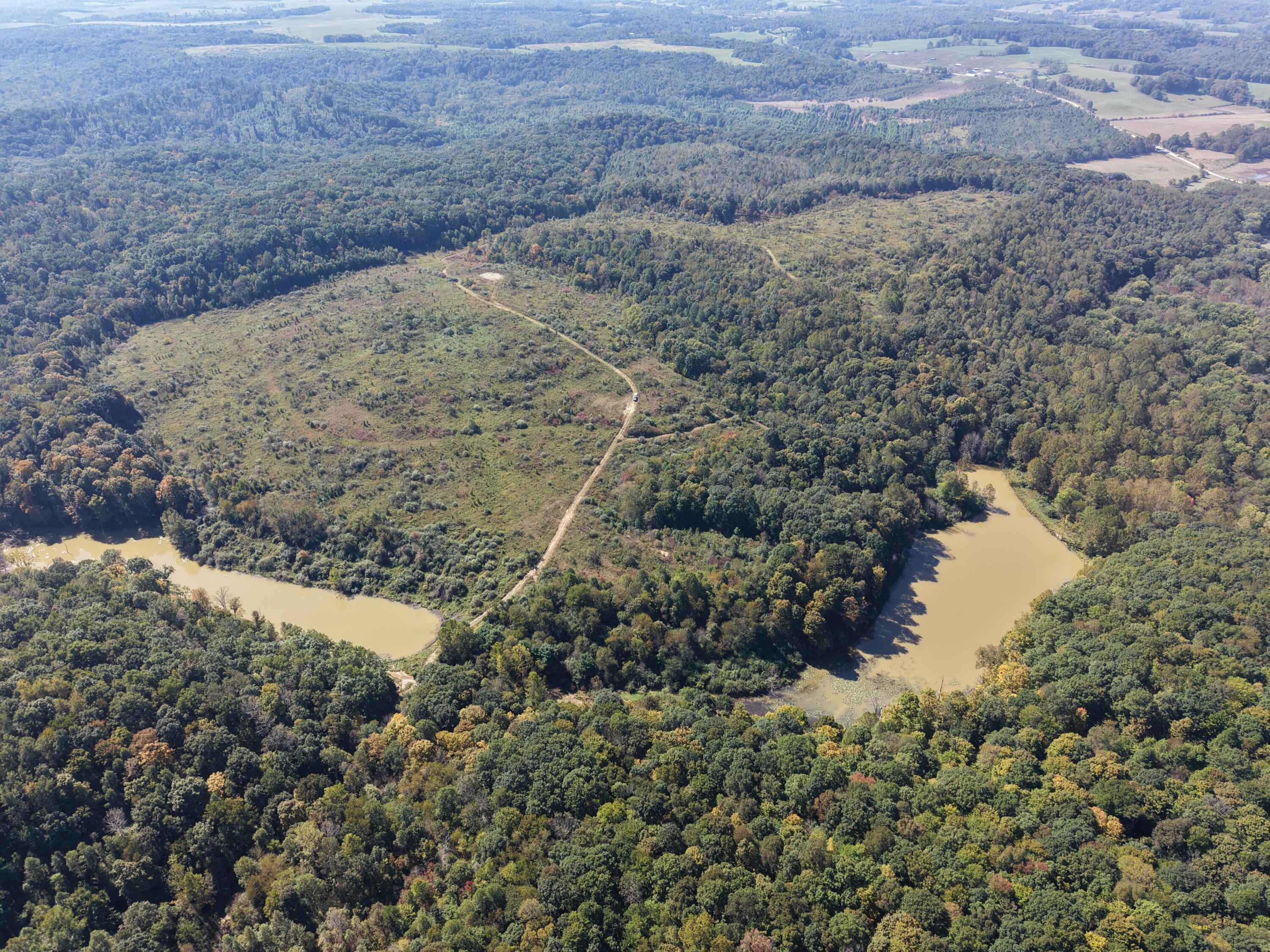 Aerial view of a wooded property with an open clearing, dirt track, and water along two sides.